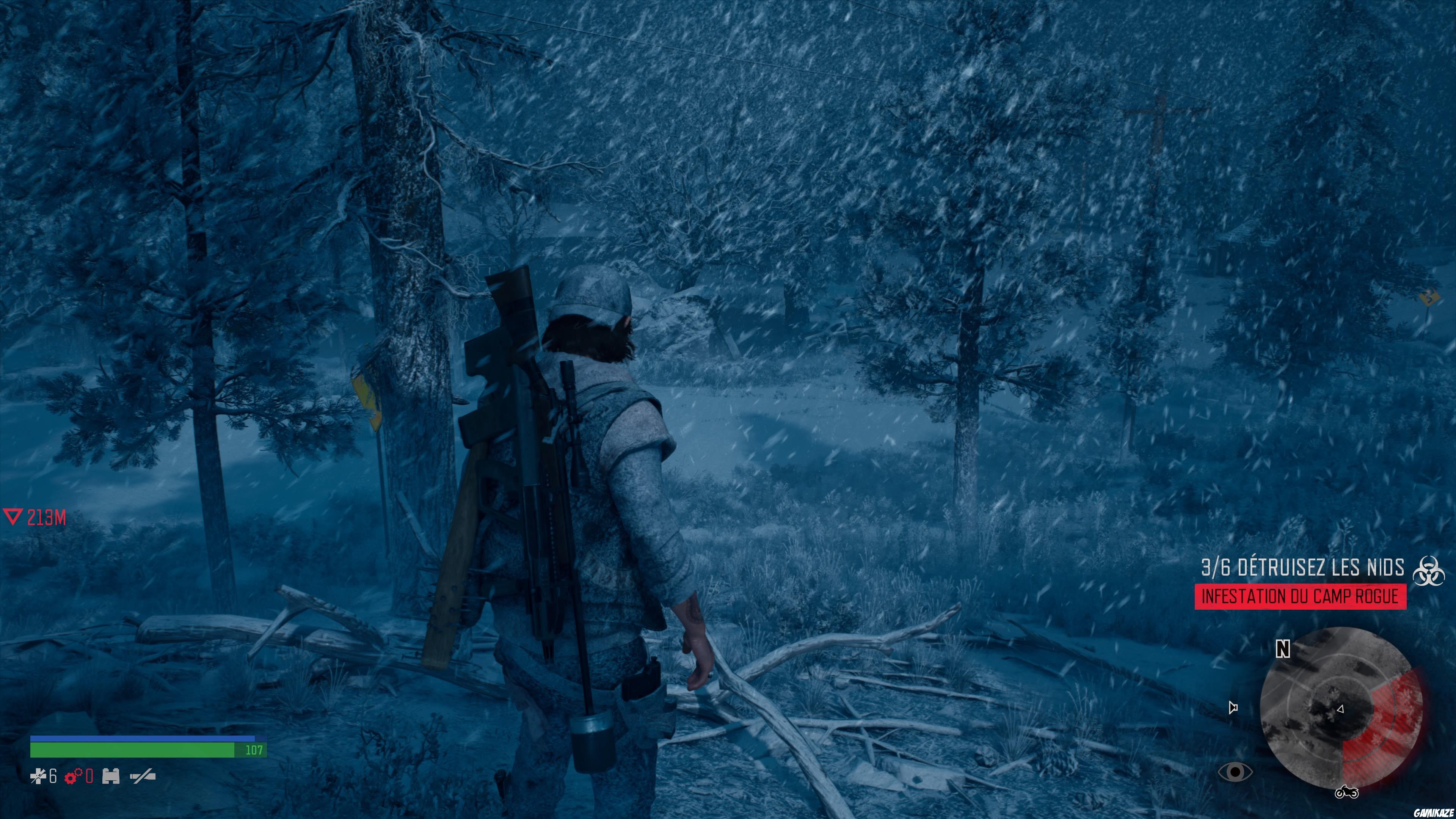 Days Gone