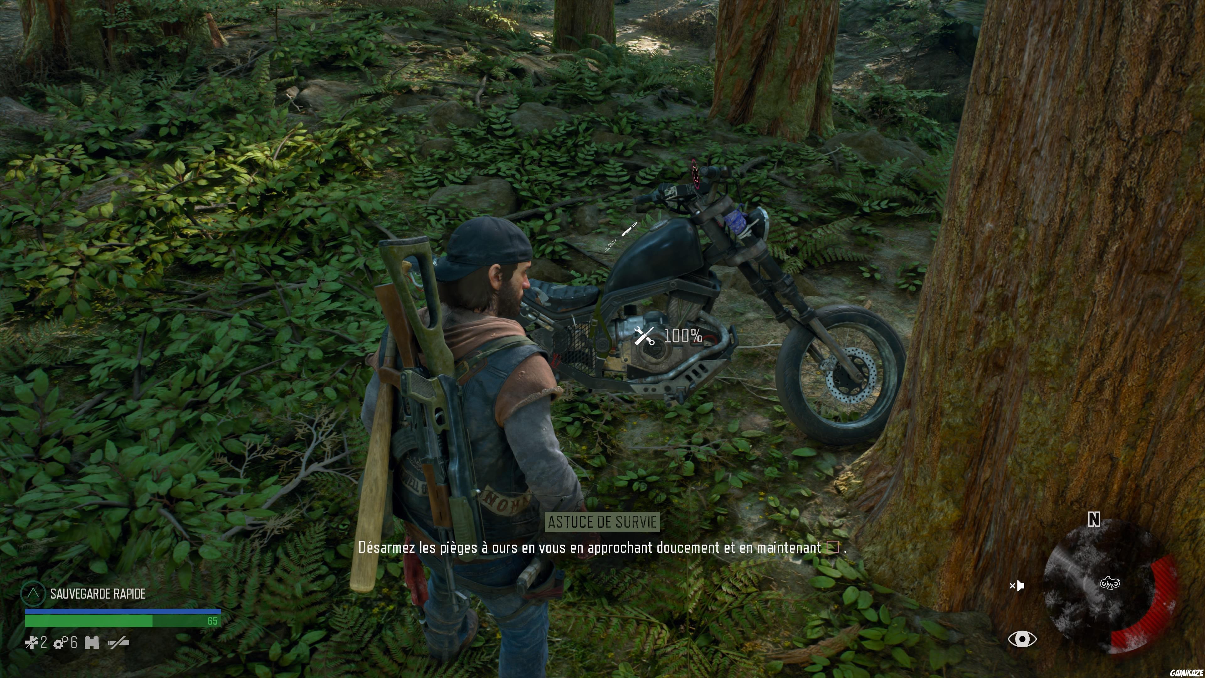 Days Gone