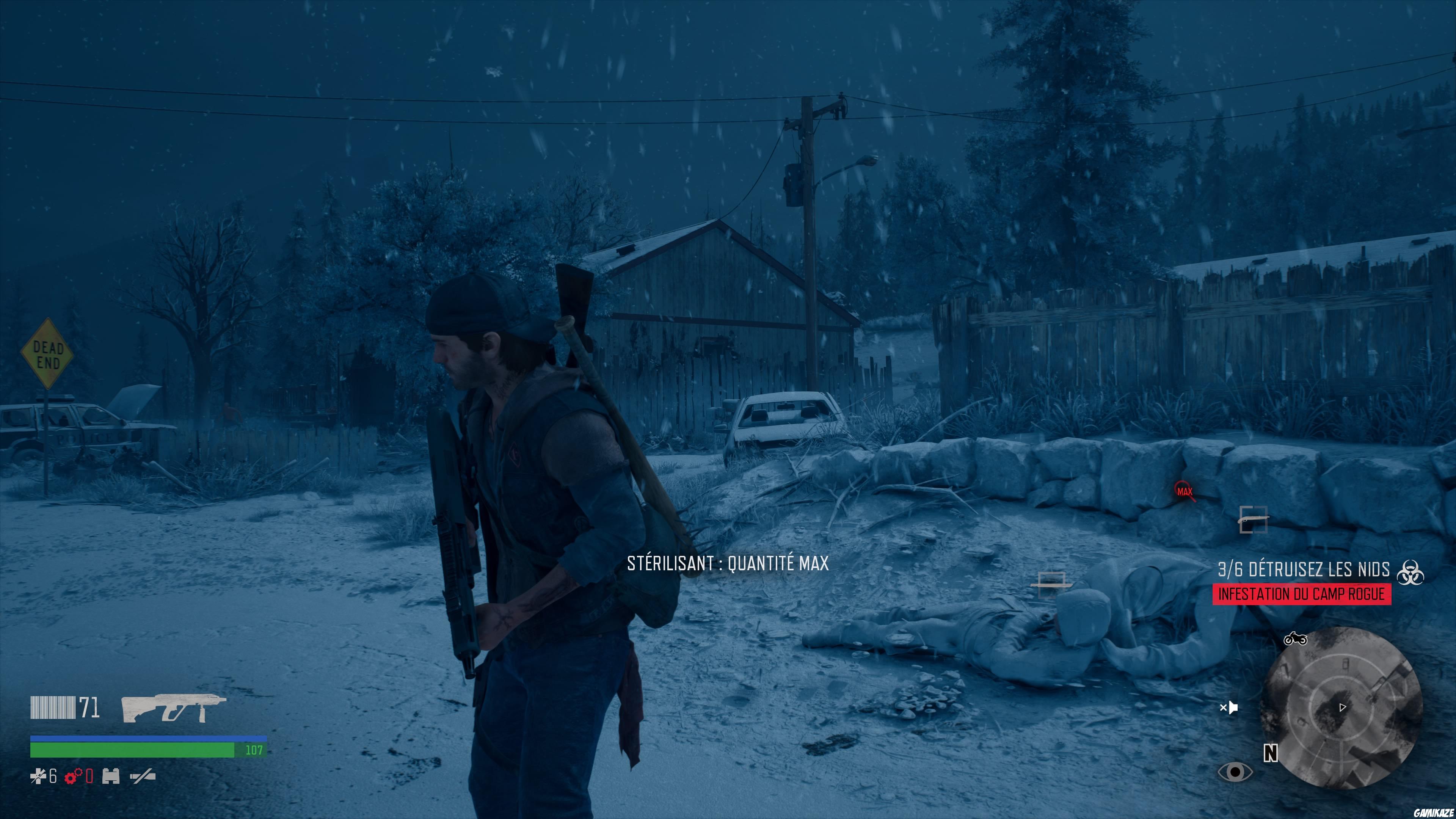 Days Gone