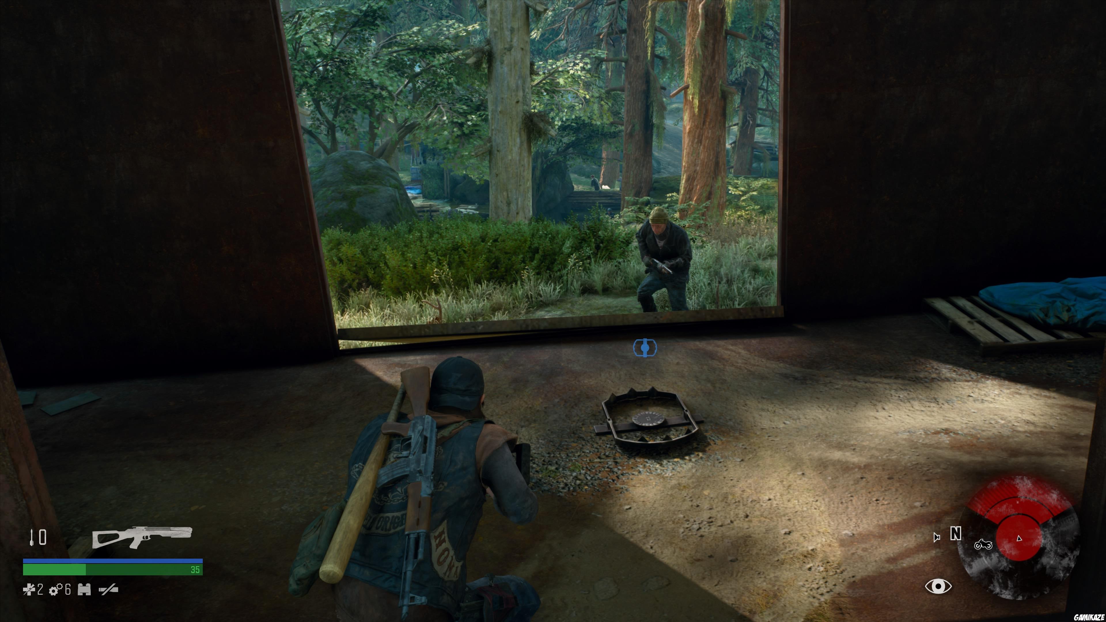 Days Gone
