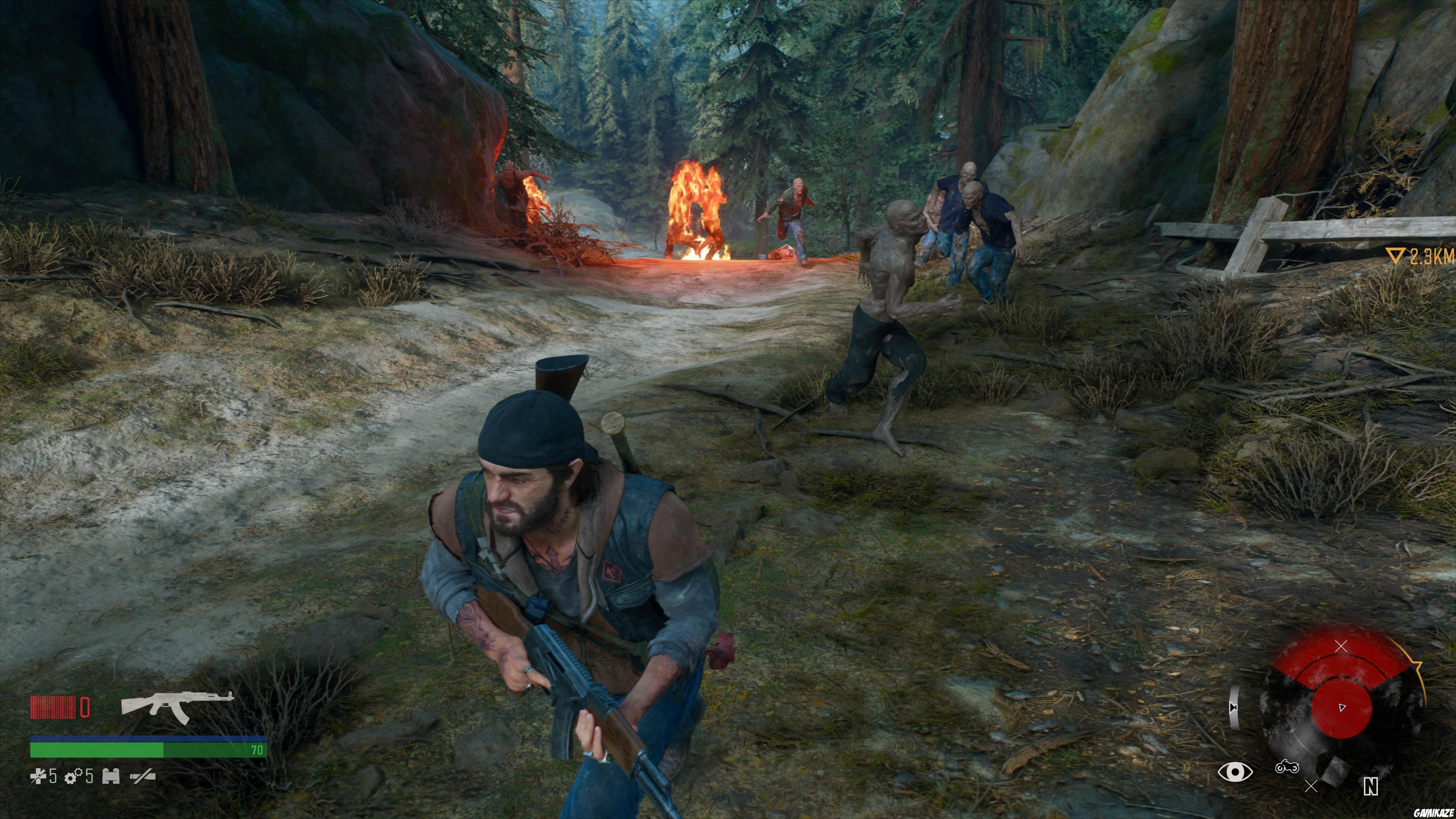 Days Gone