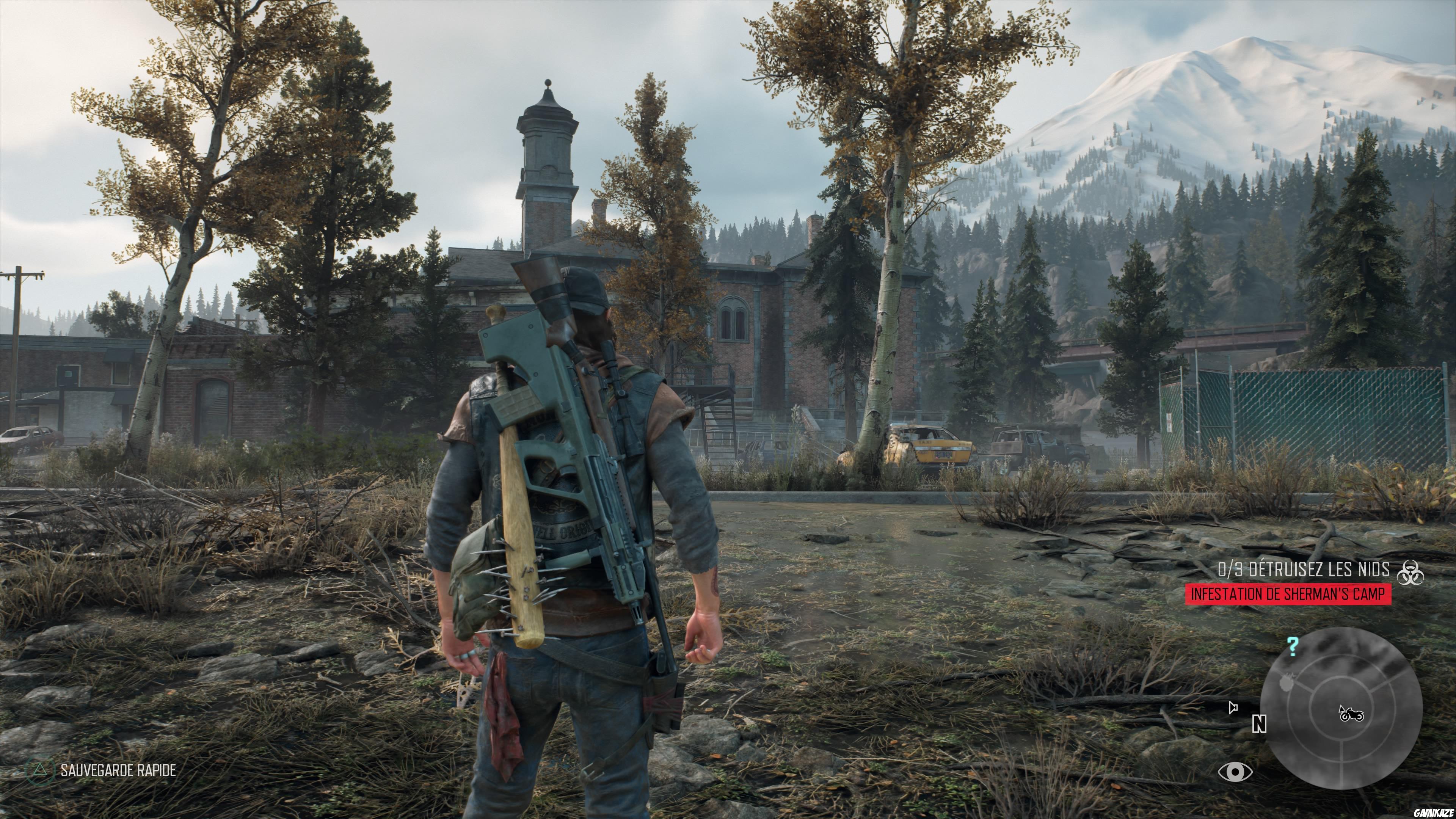 Days Gone