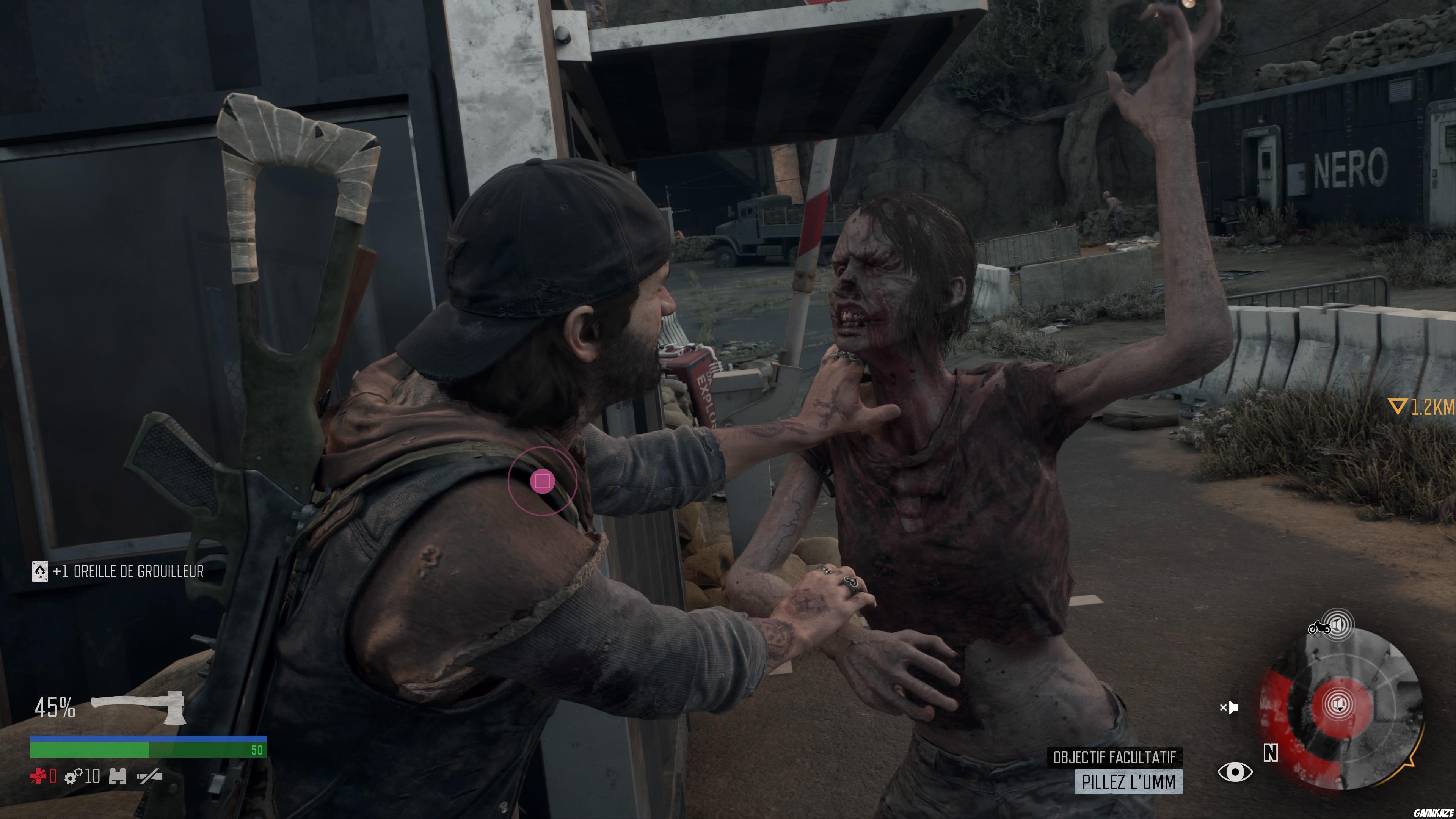 Days Gone