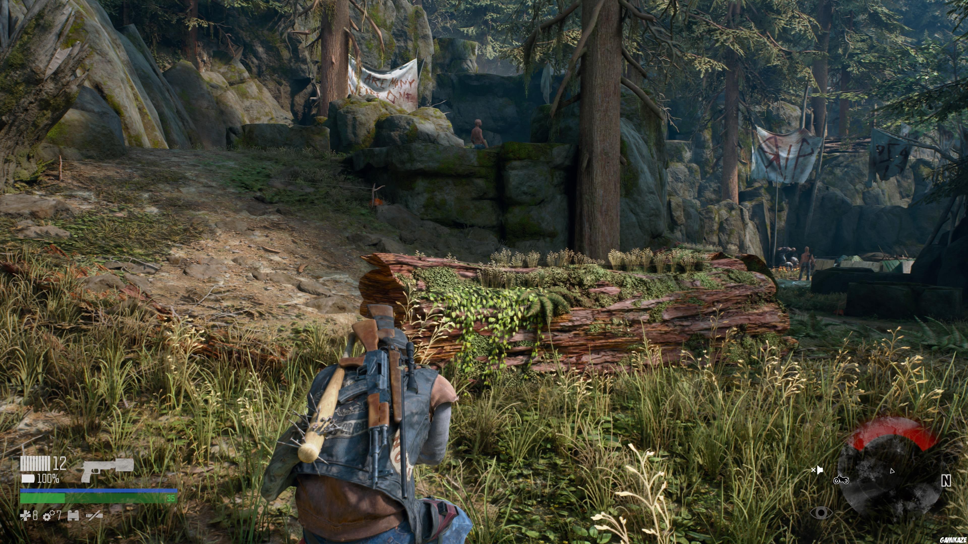 Days Gone