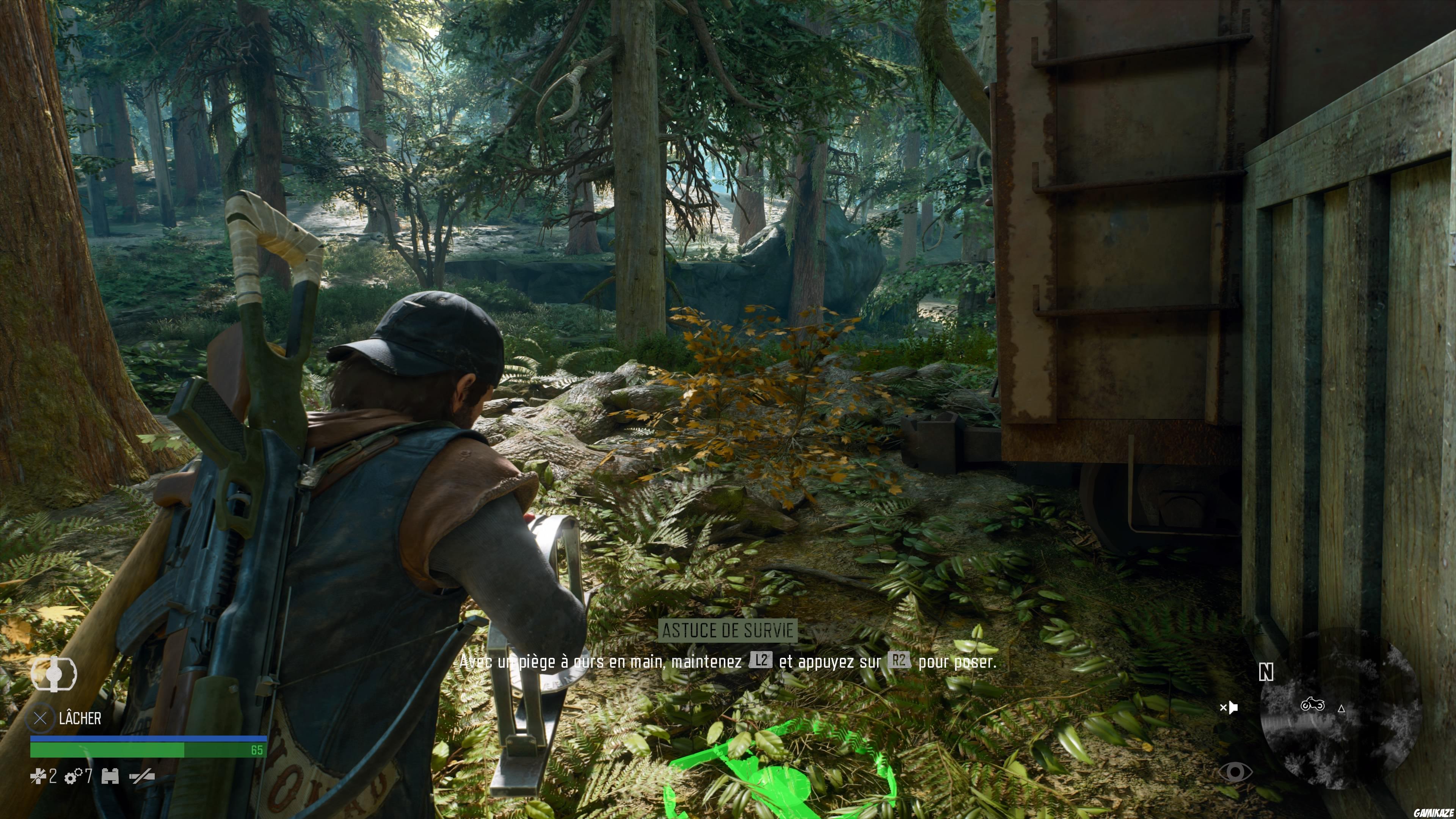 Days Gone