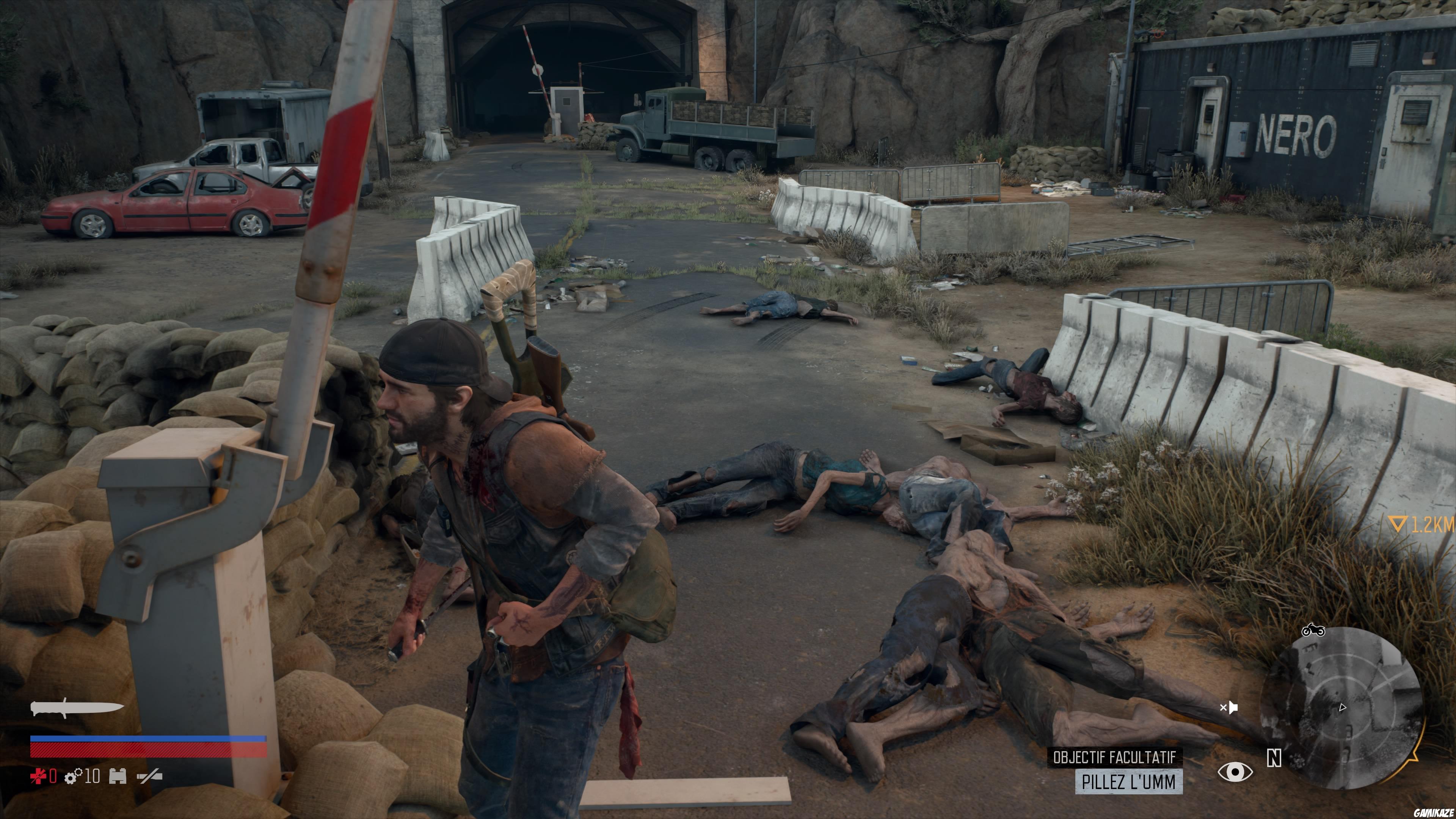 Days Gone
