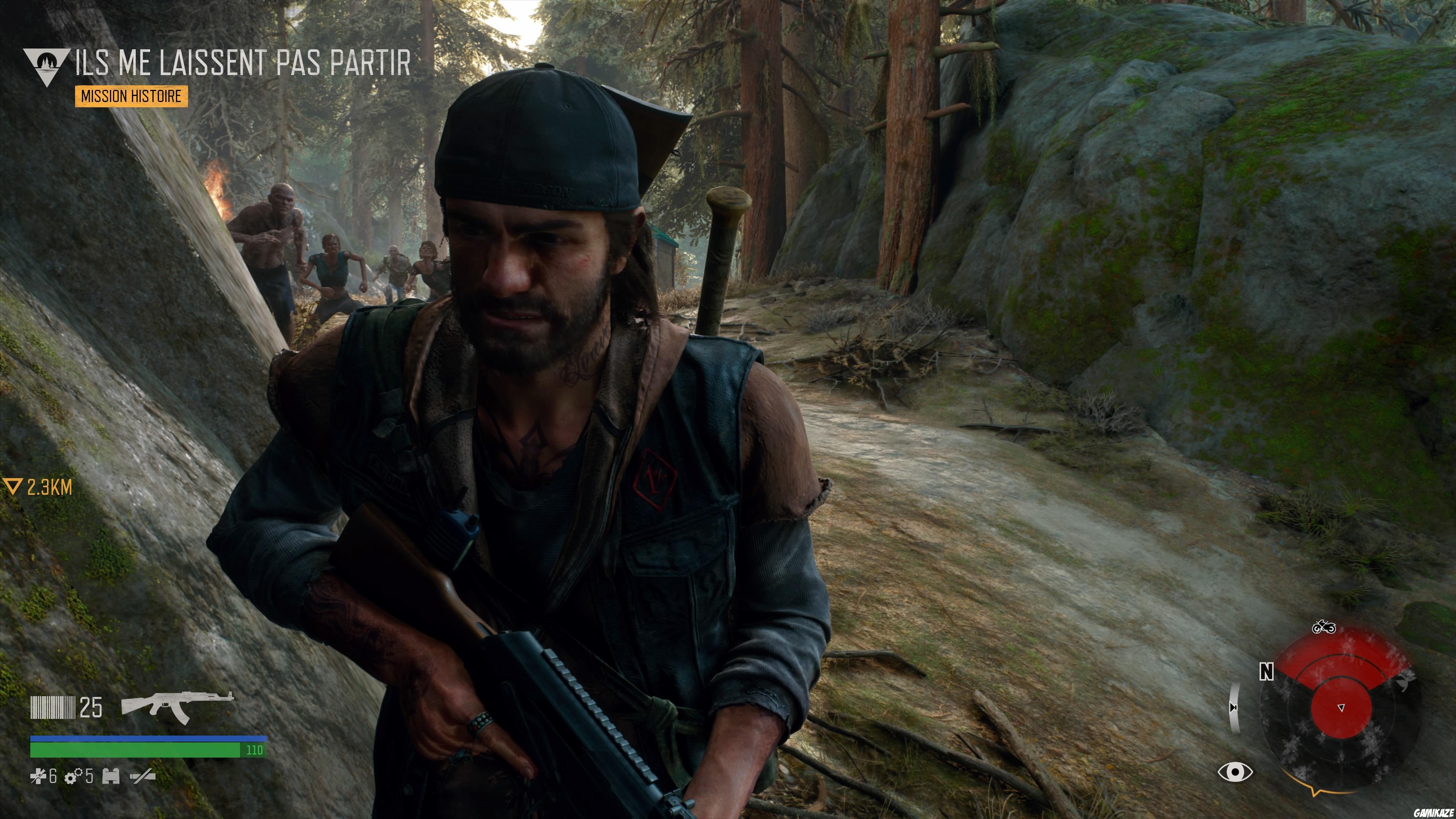 Days Gone