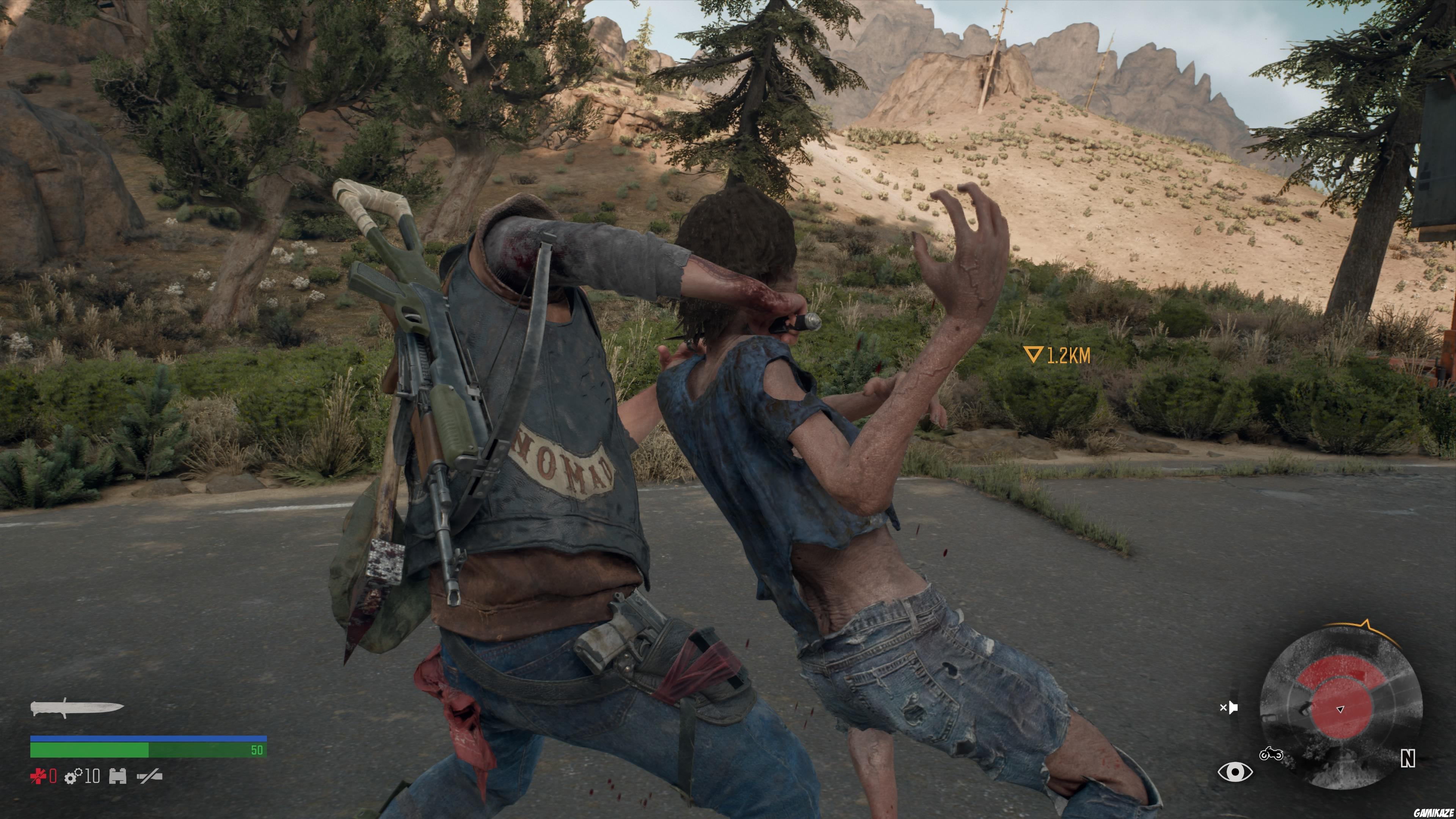 Days Gone