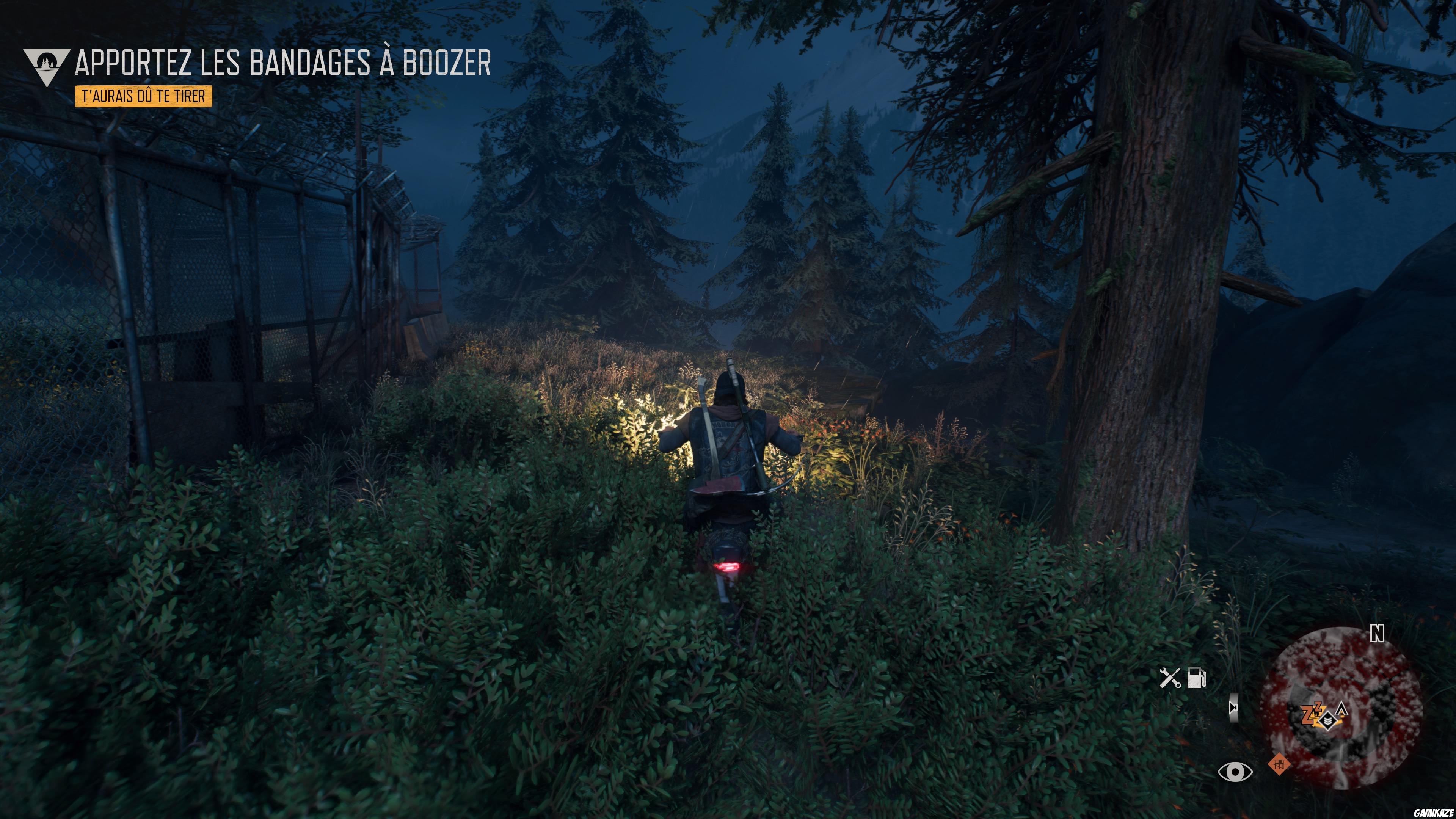 Days Gone