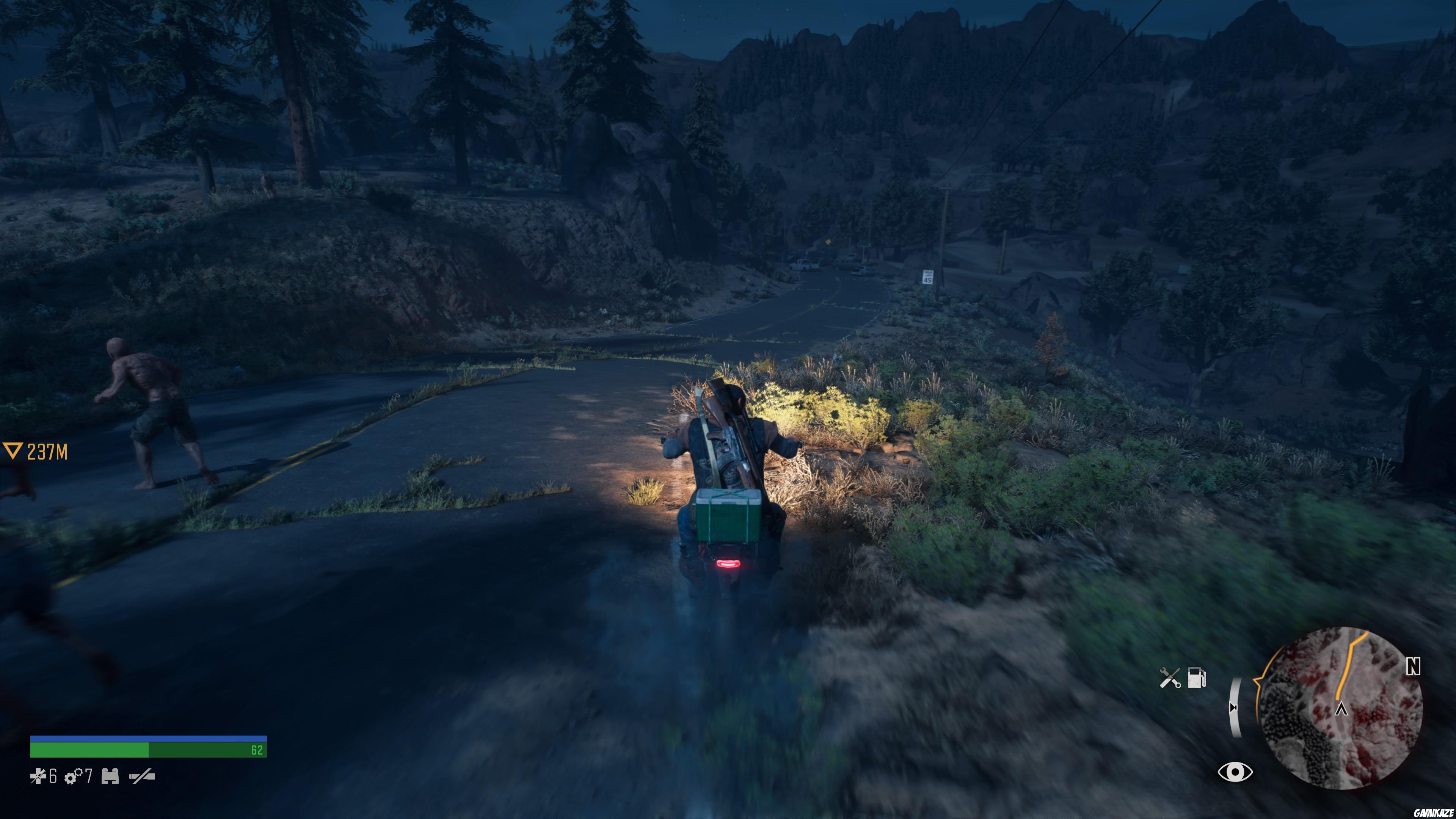 Days Gone