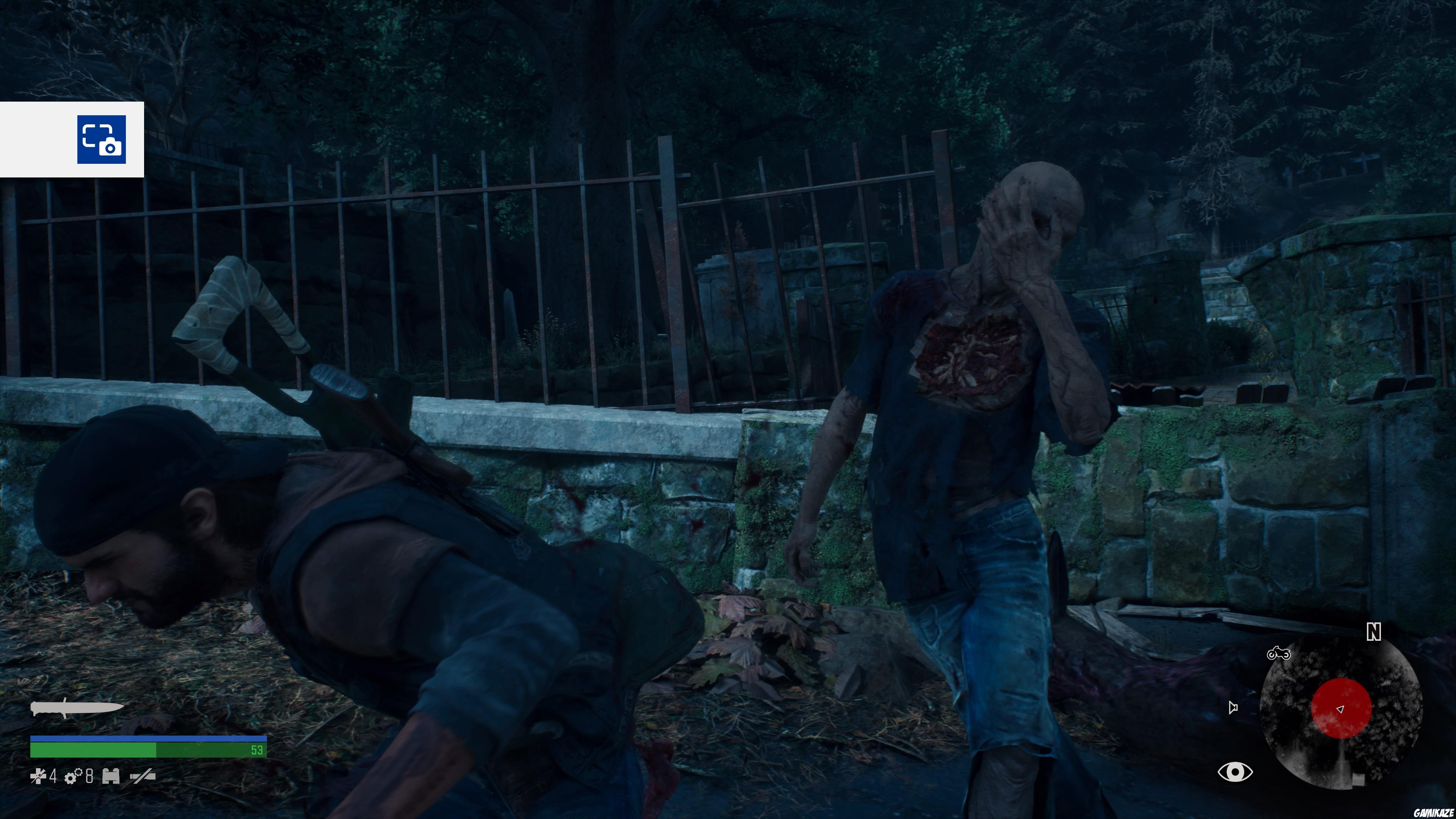 Days Gone