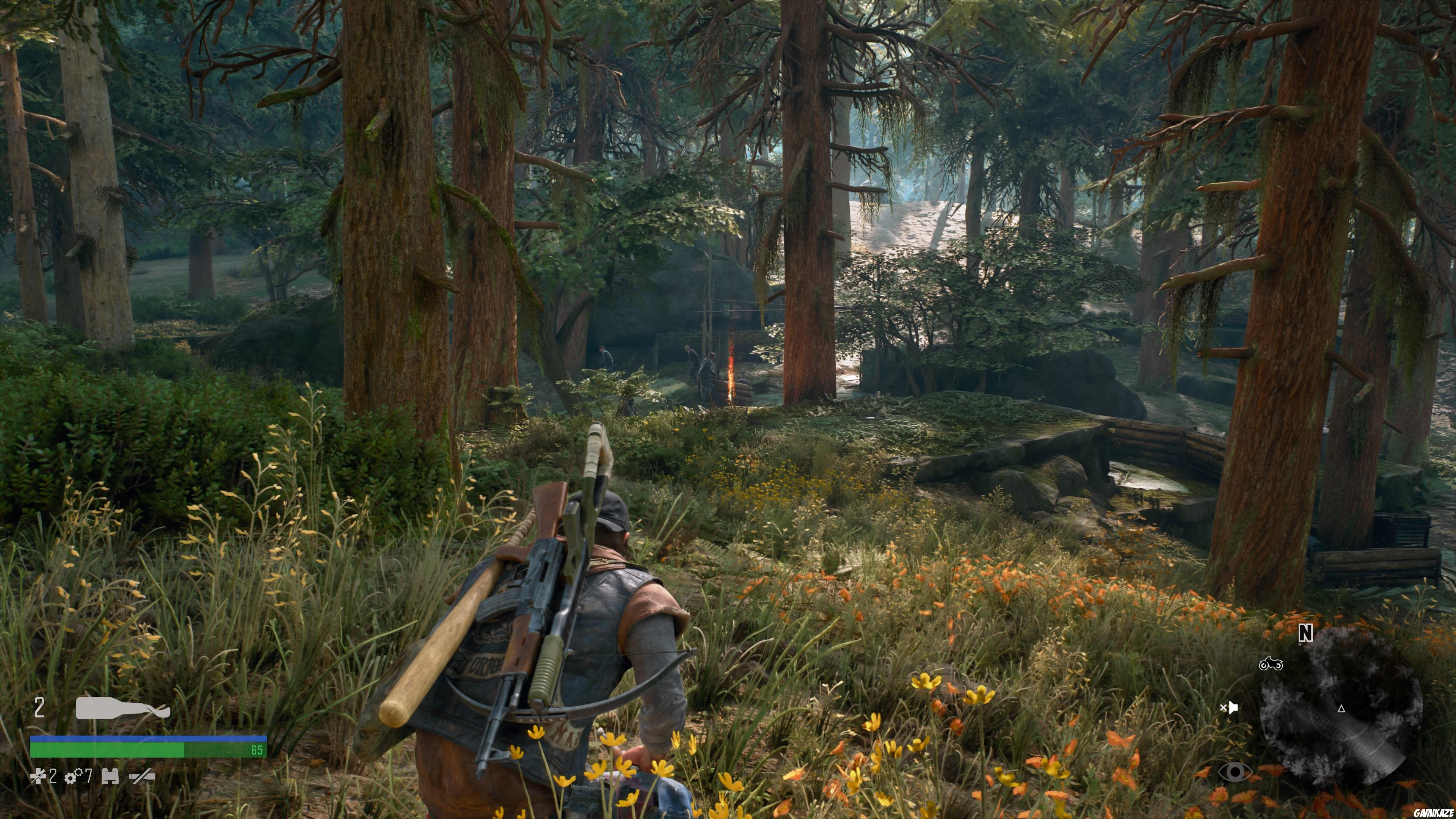 Days Gone