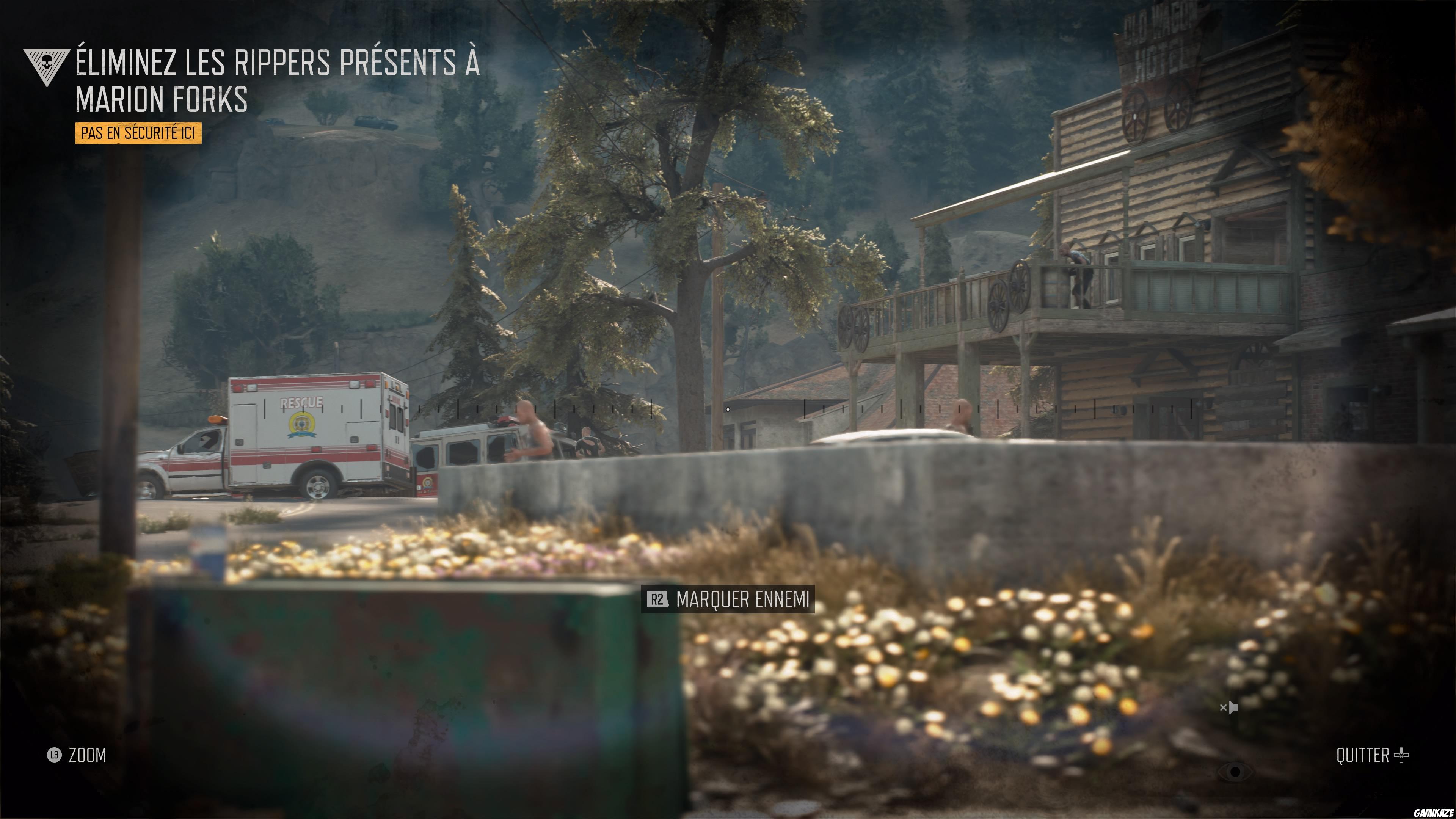 Days Gone