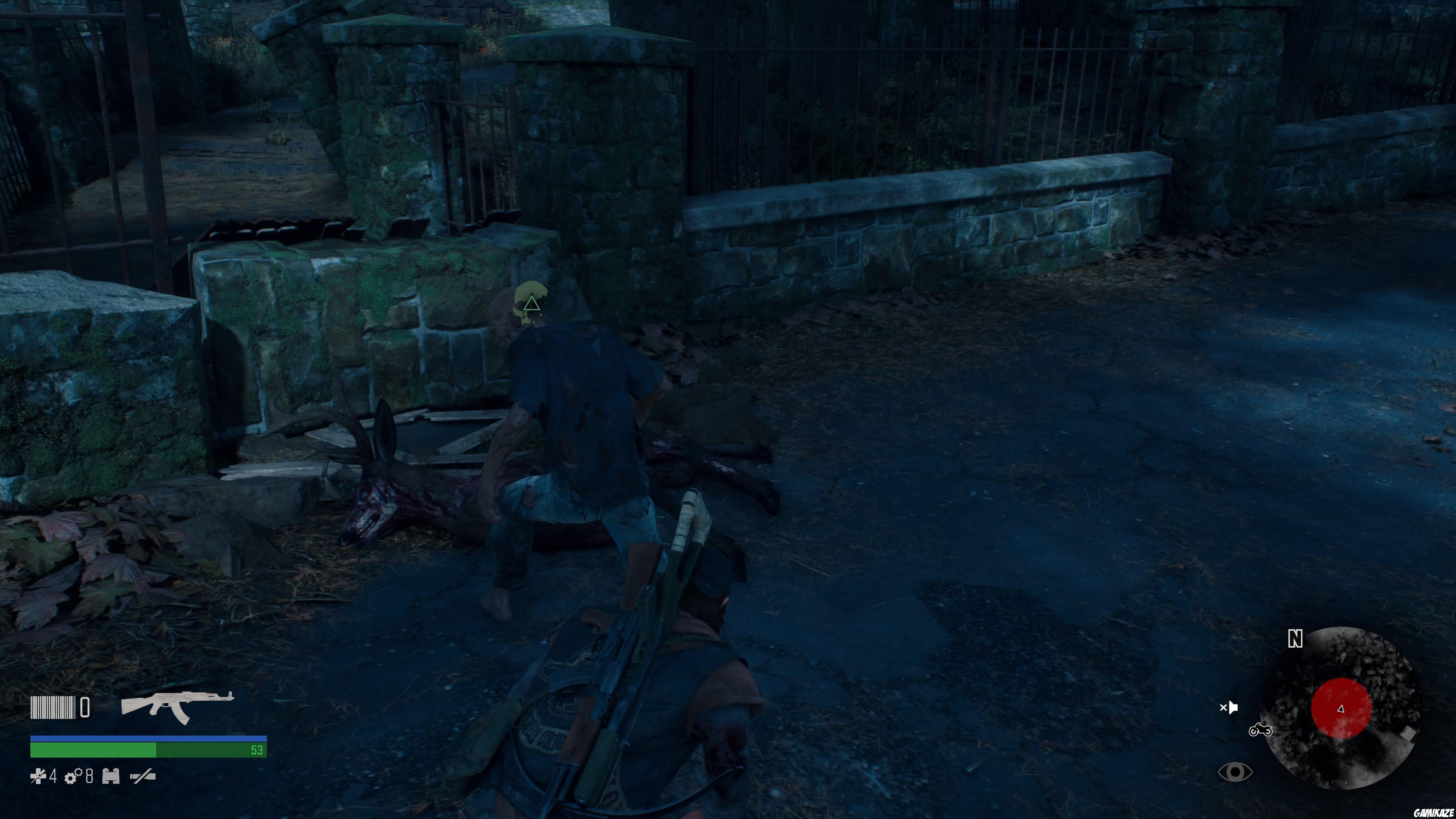 Days Gone