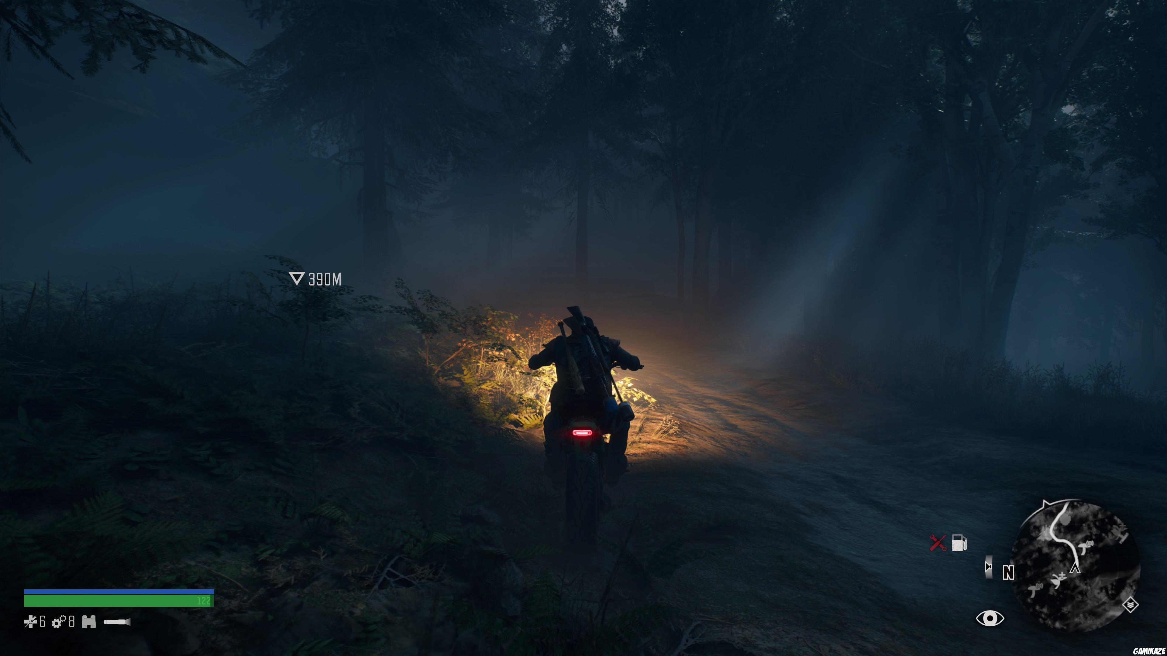 Days Gone