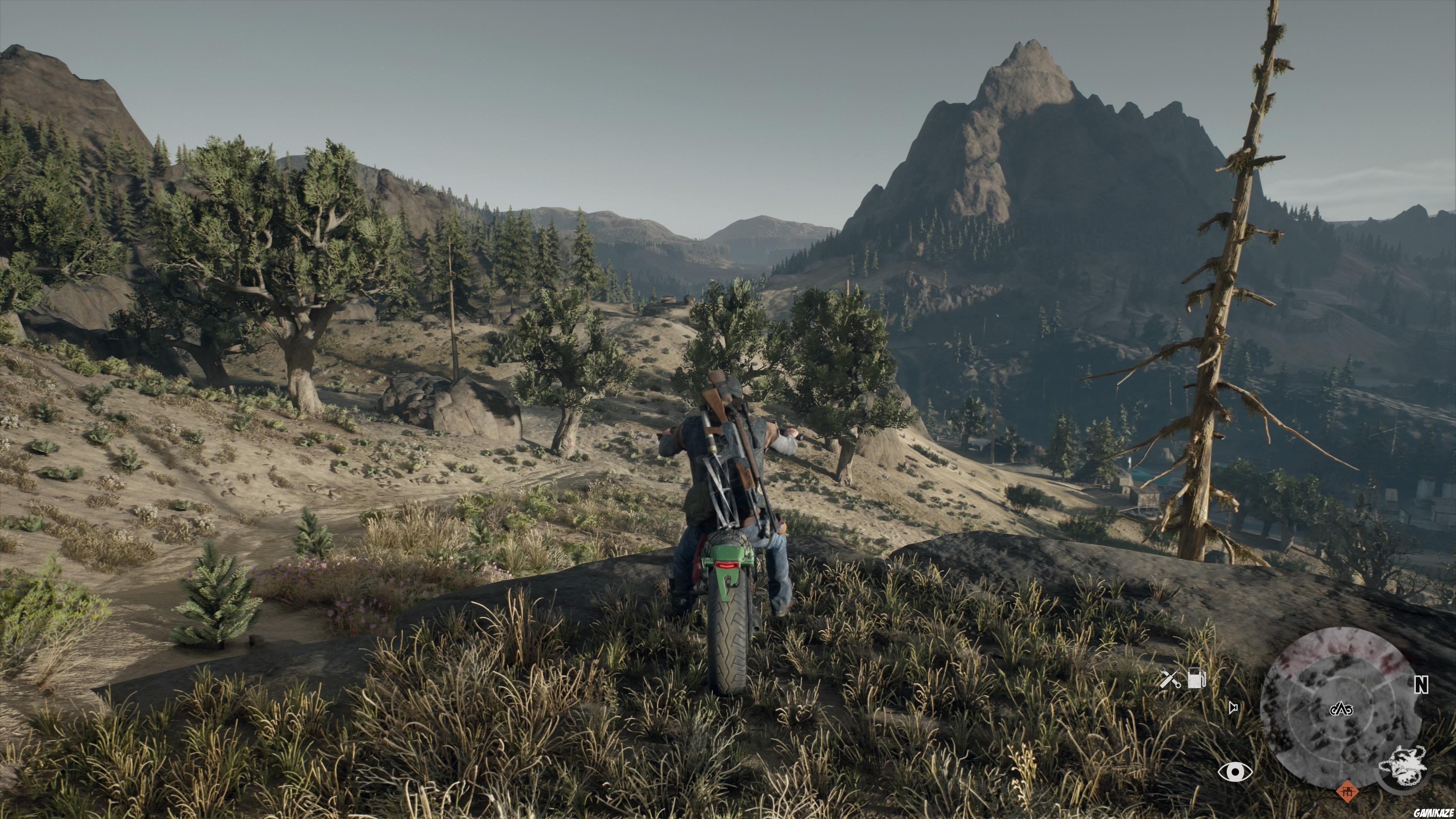 Days Gone