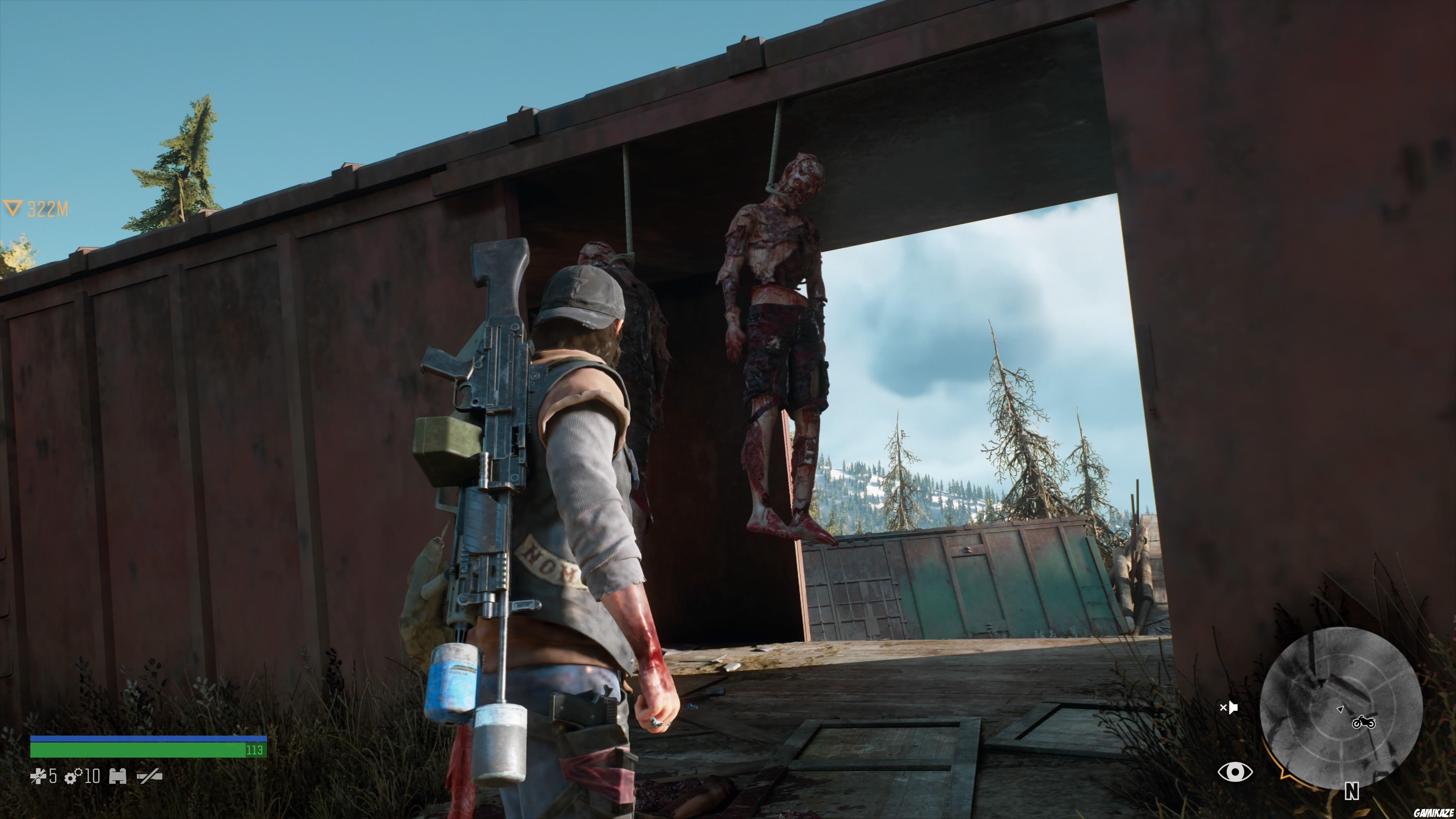 Days Gone