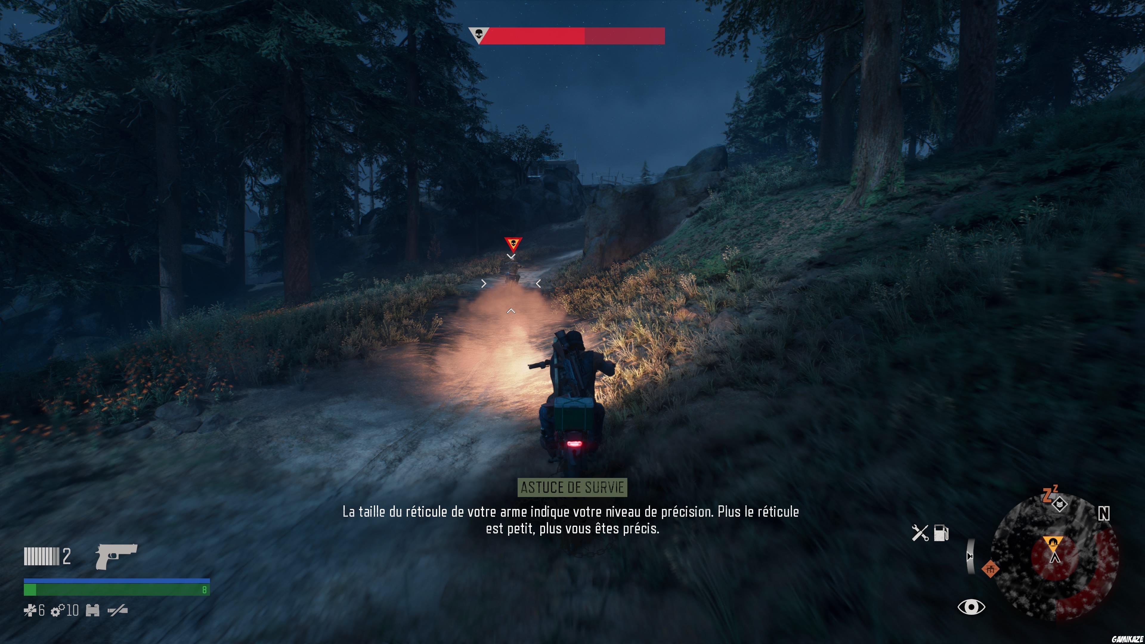 Days Gone
