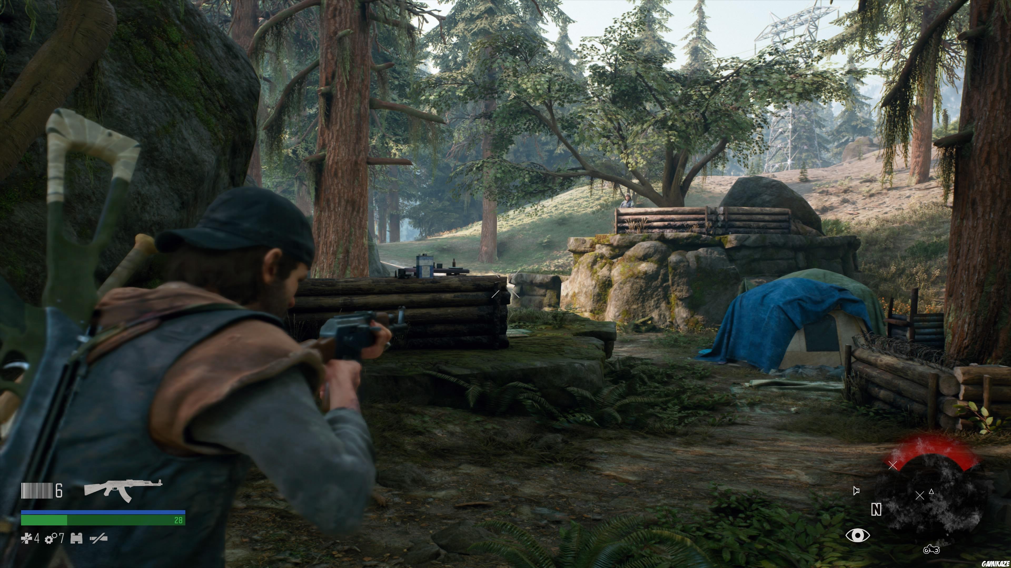 Days Gone