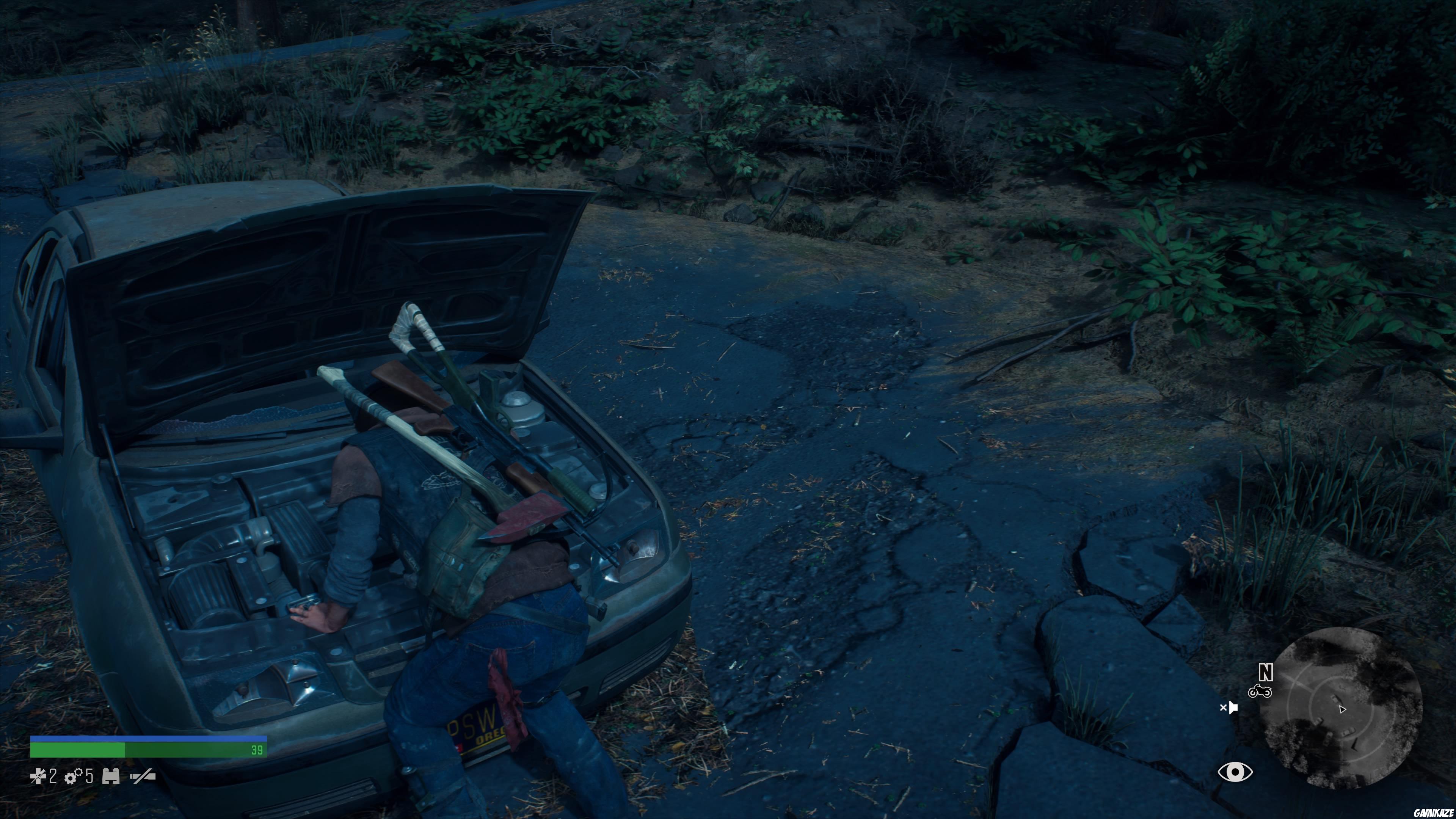 Days Gone