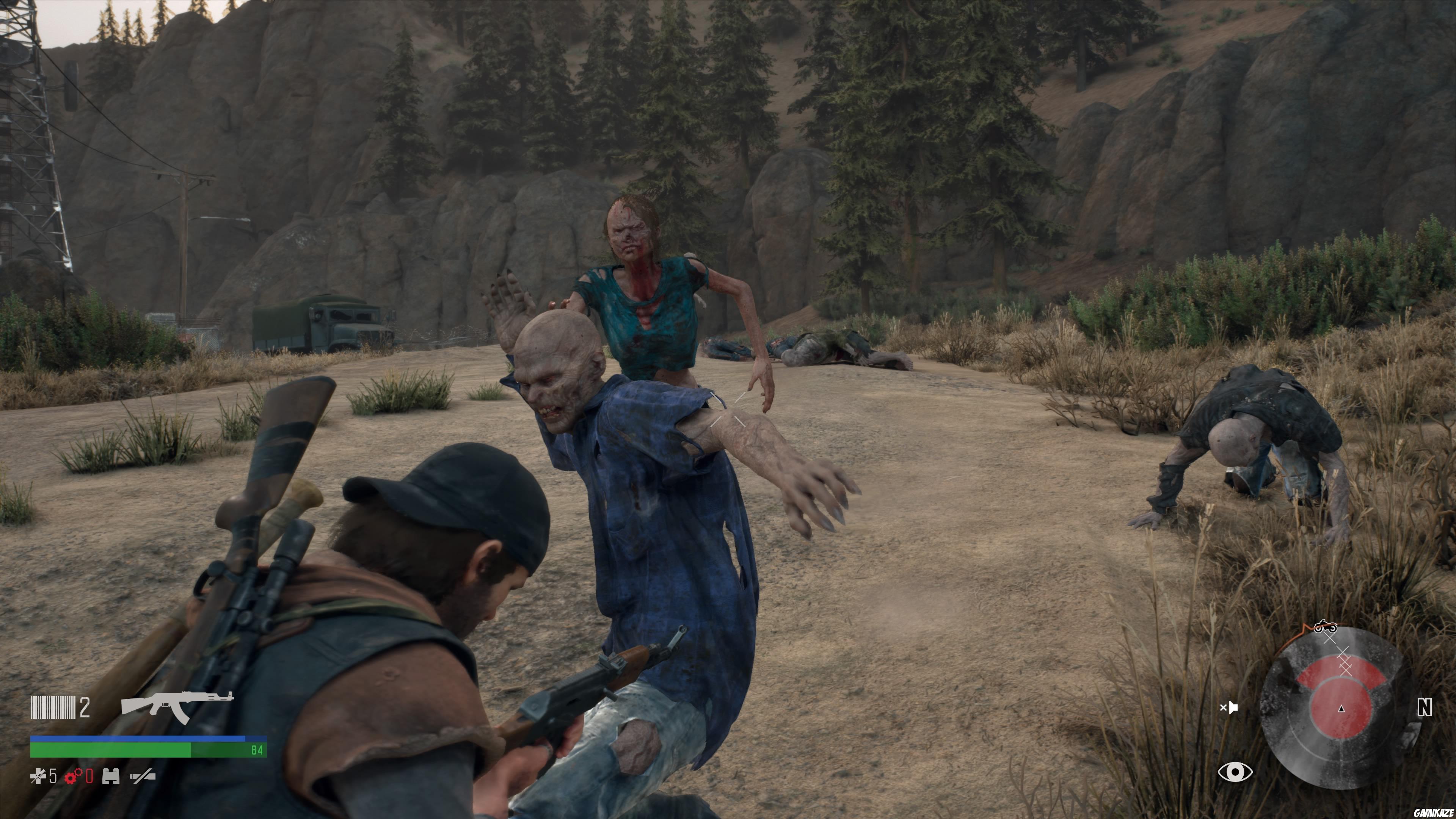Days Gone