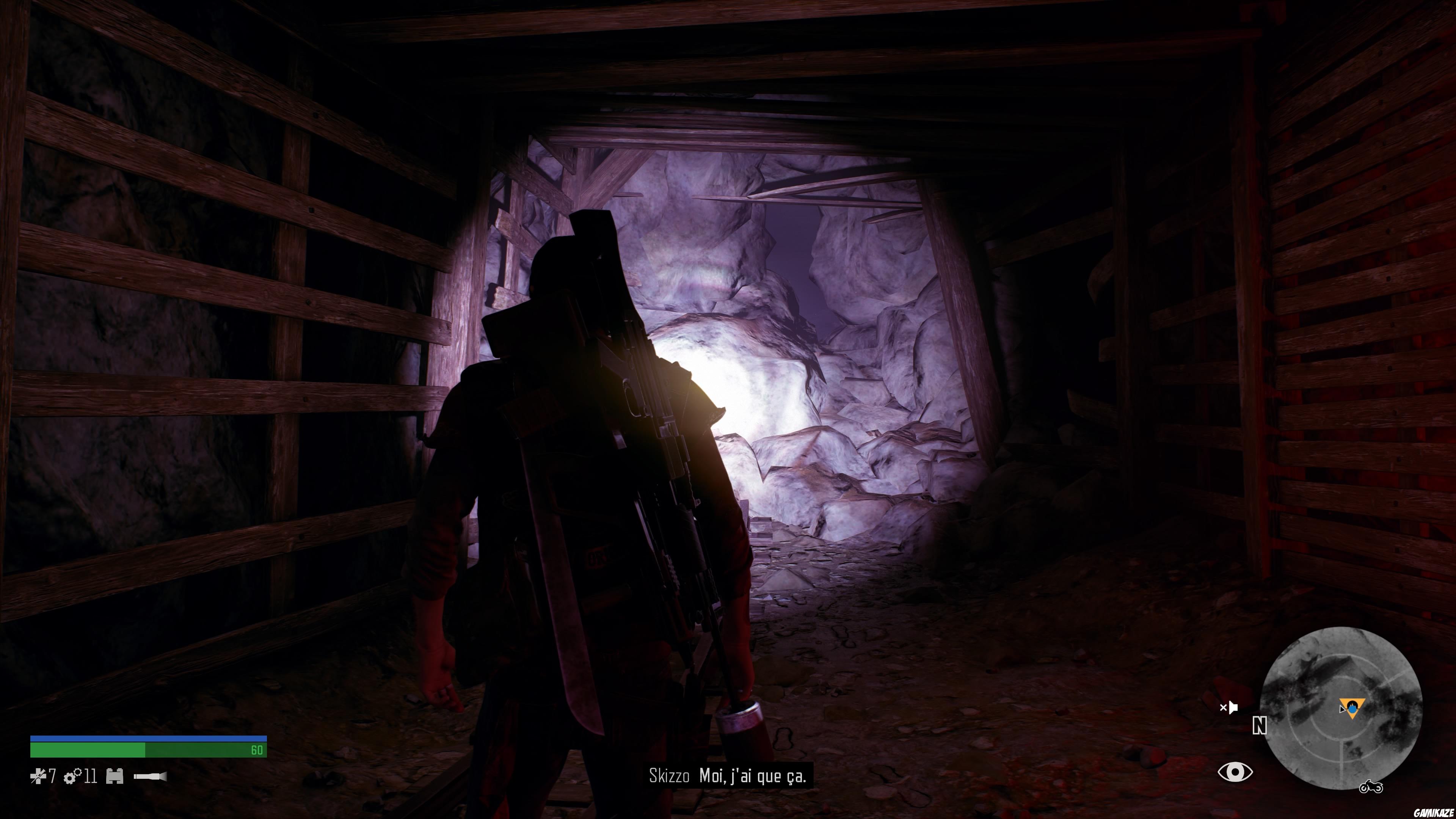Days Gone
