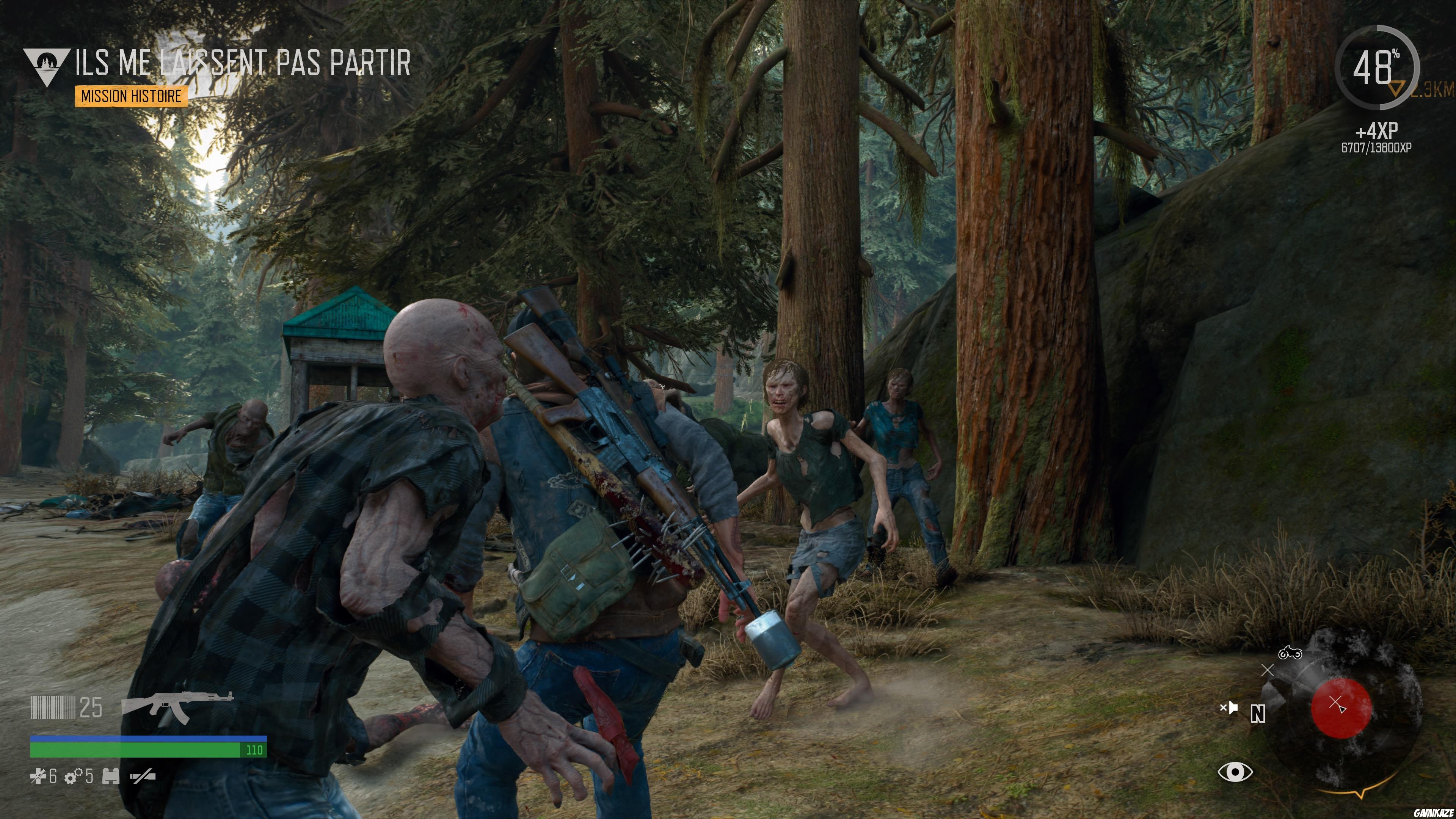 Days Gone