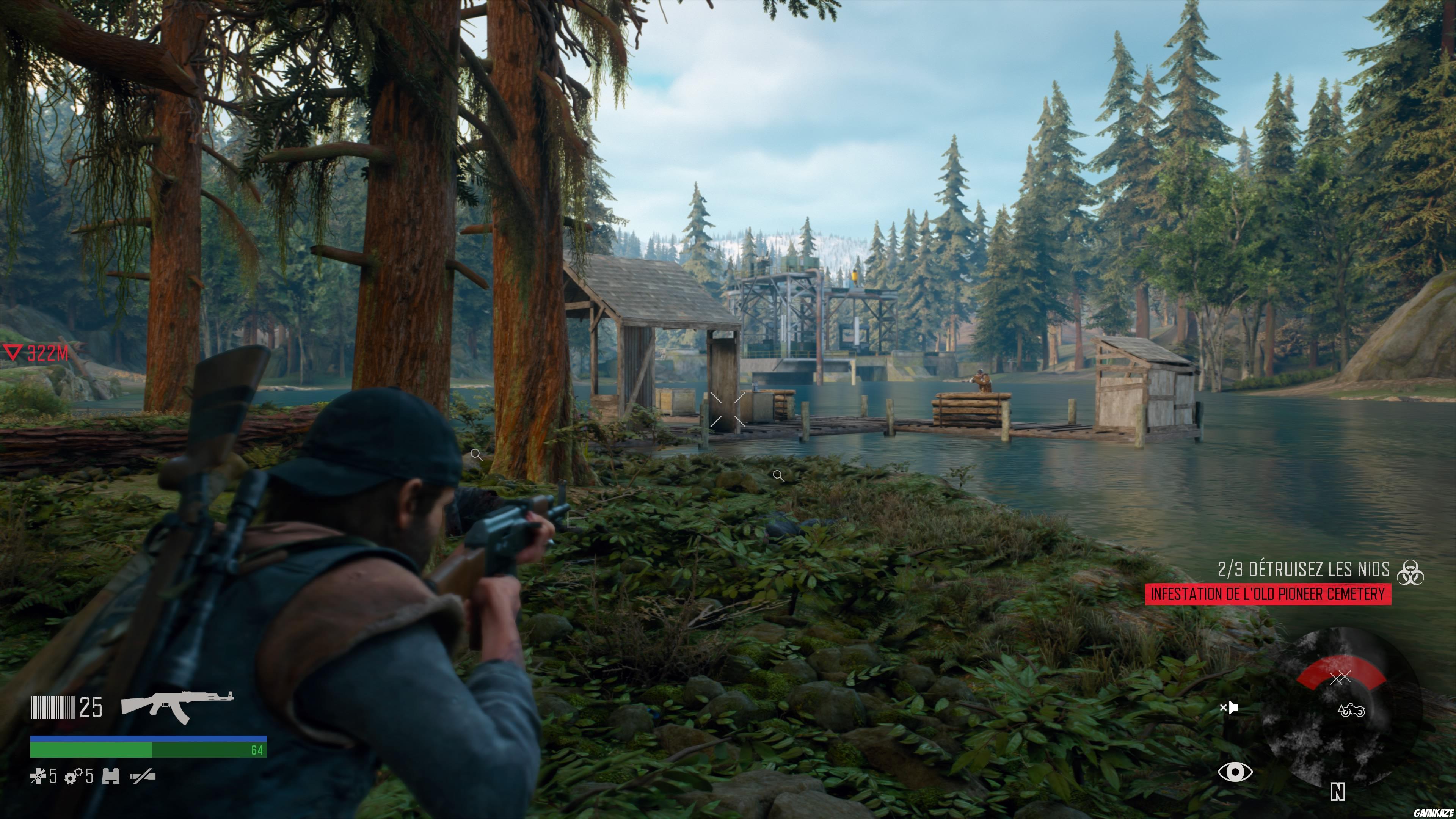 Days Gone