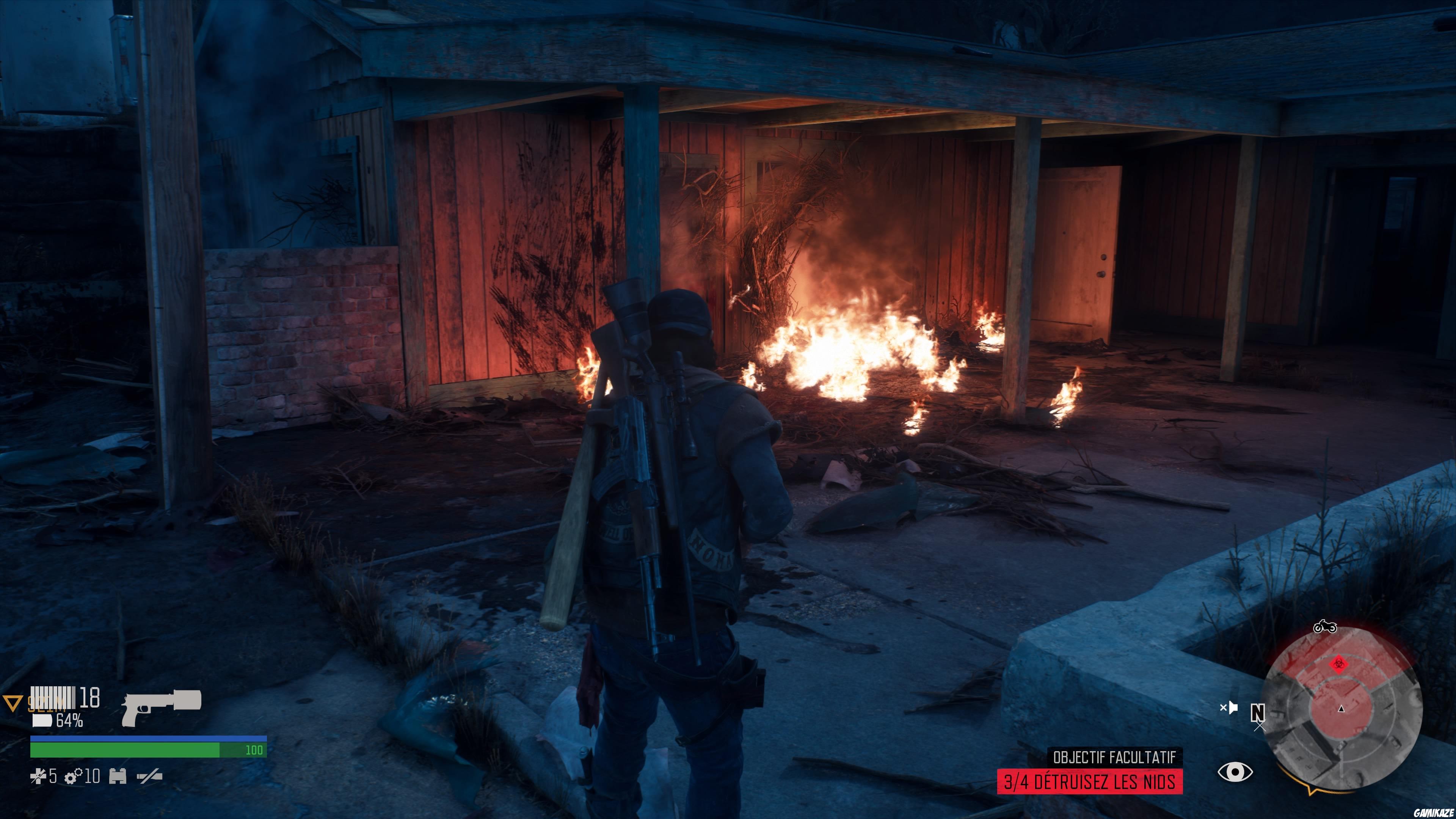 Days Gone