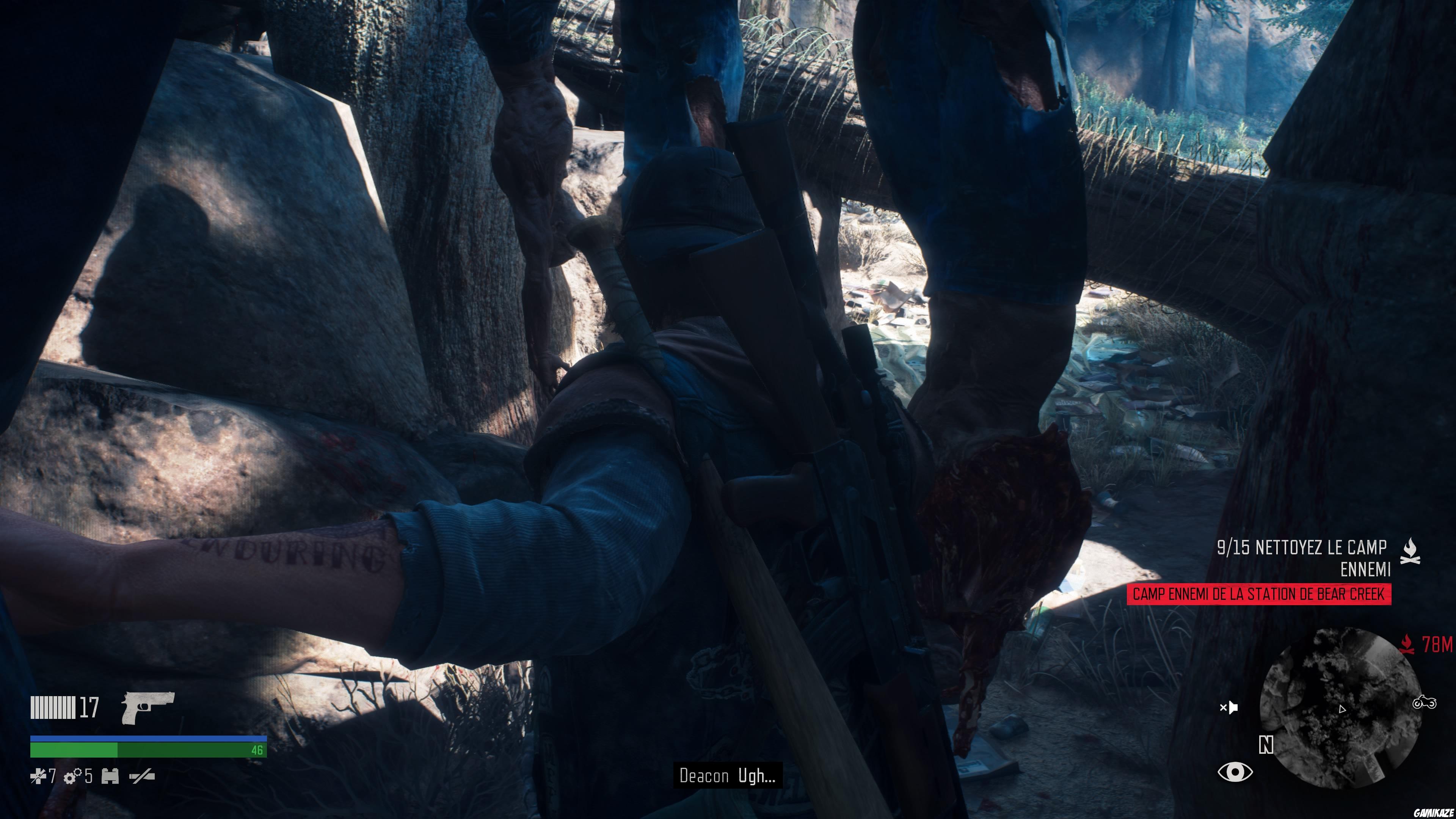 Days Gone