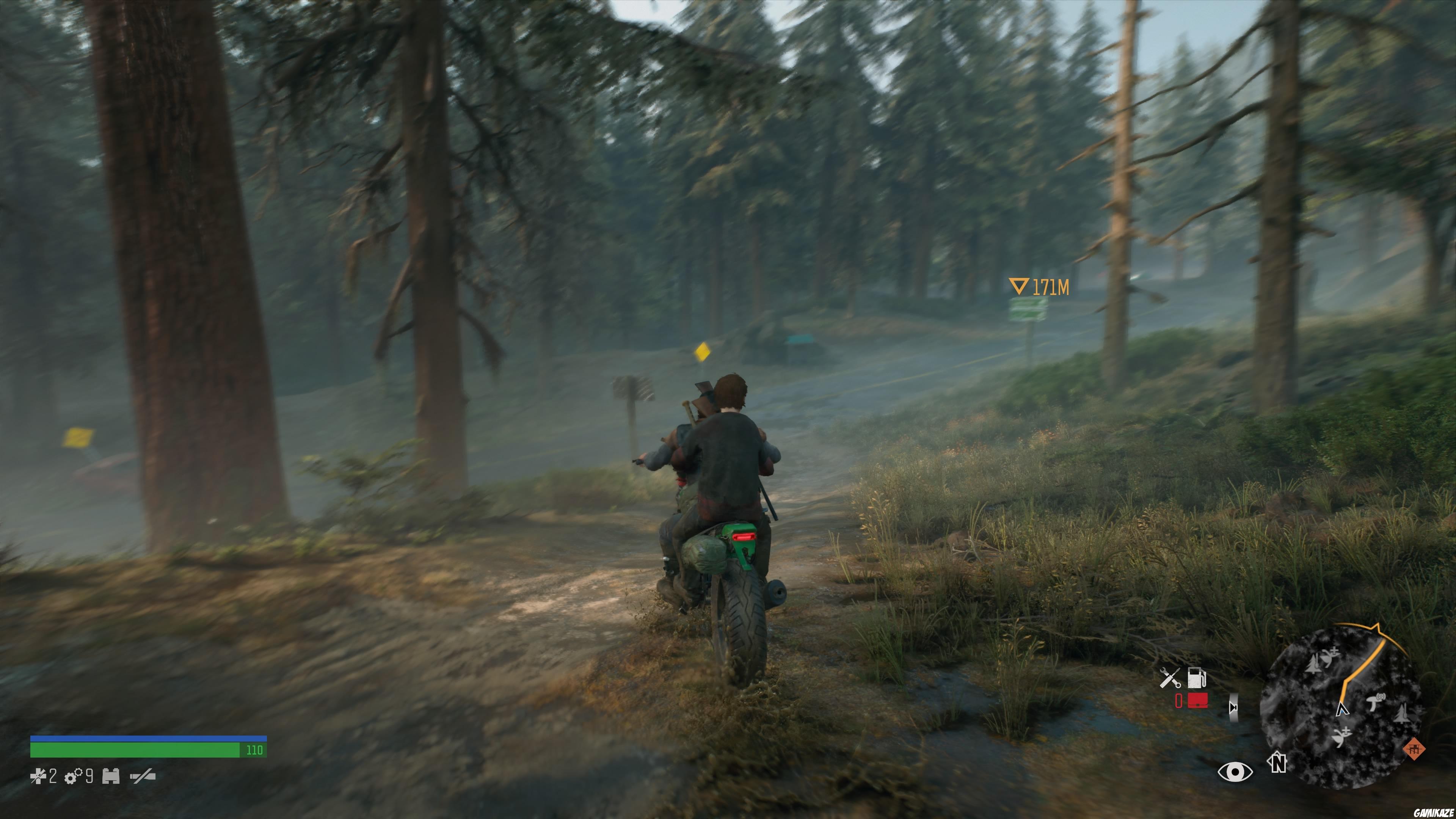 Days Gone