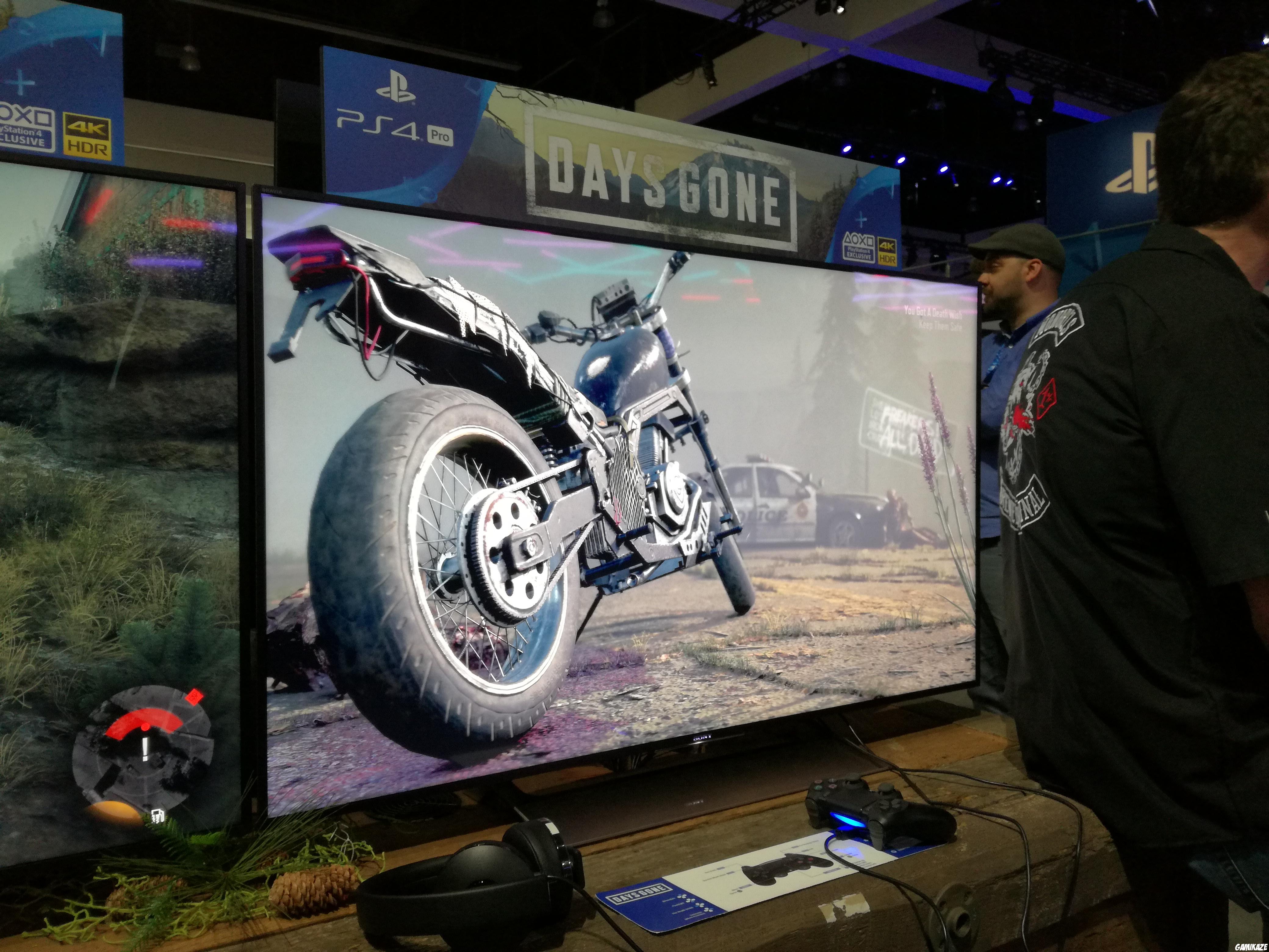 Days Gone