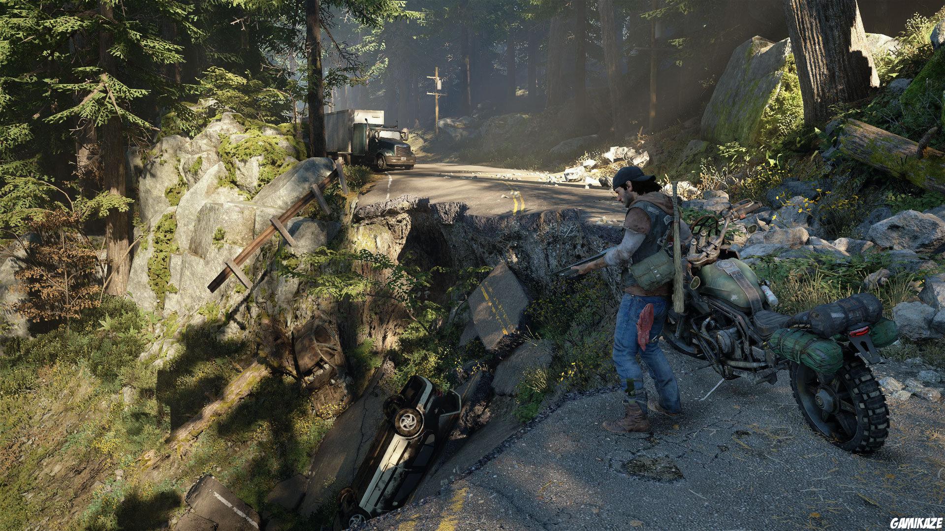Days Gone