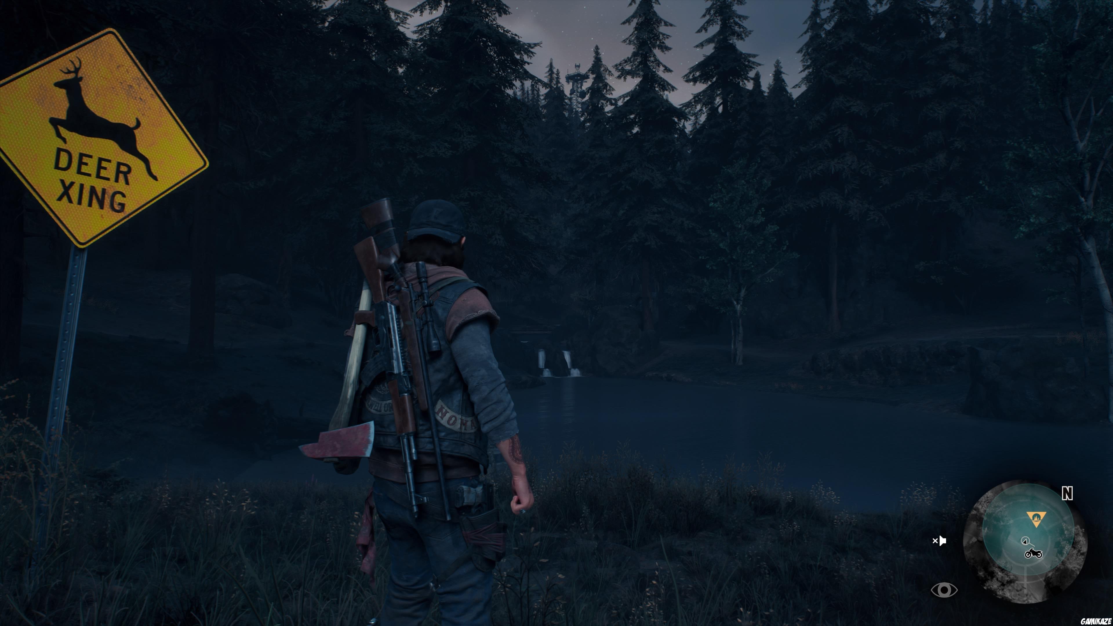Days Gone