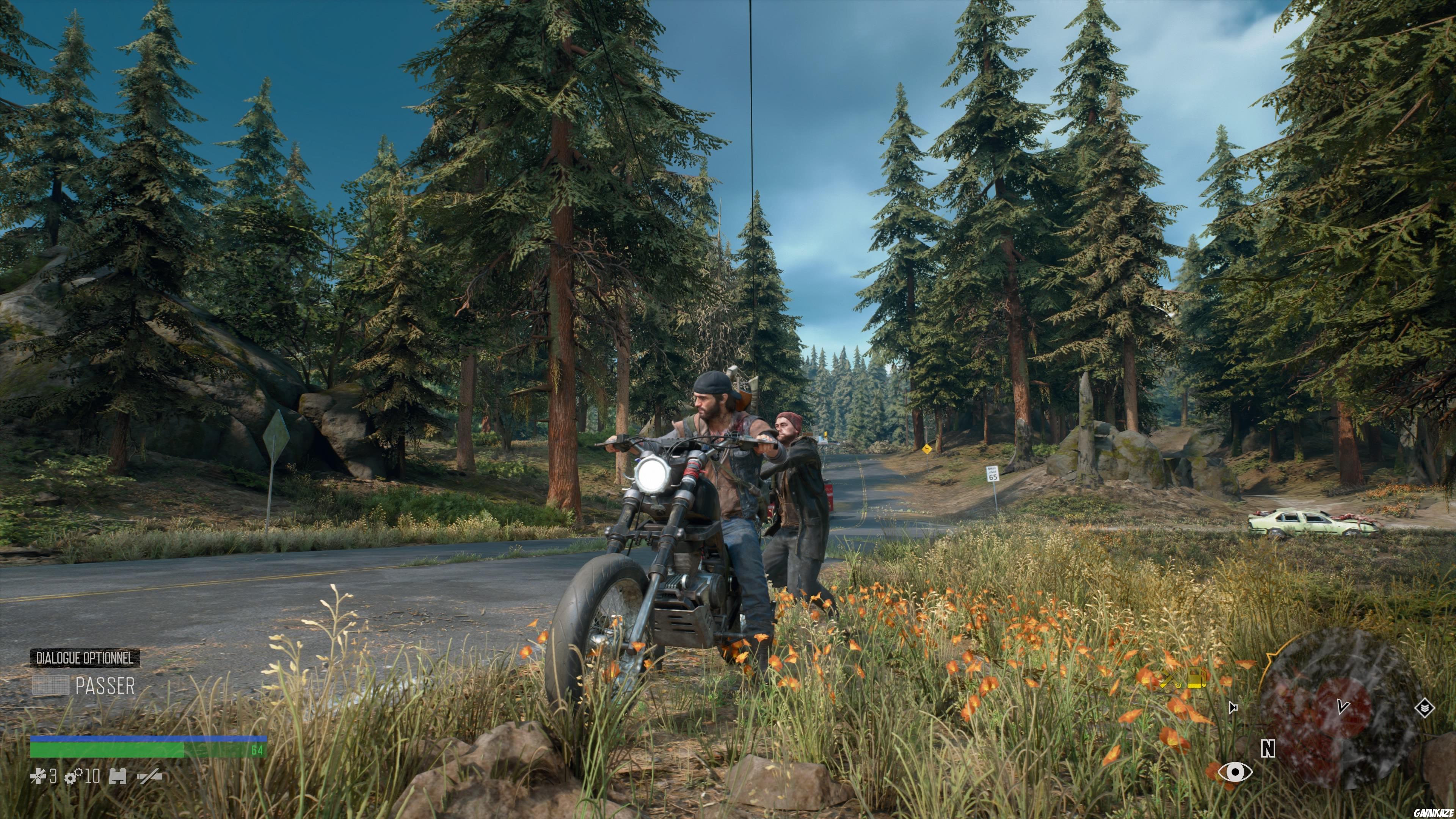 Days Gone