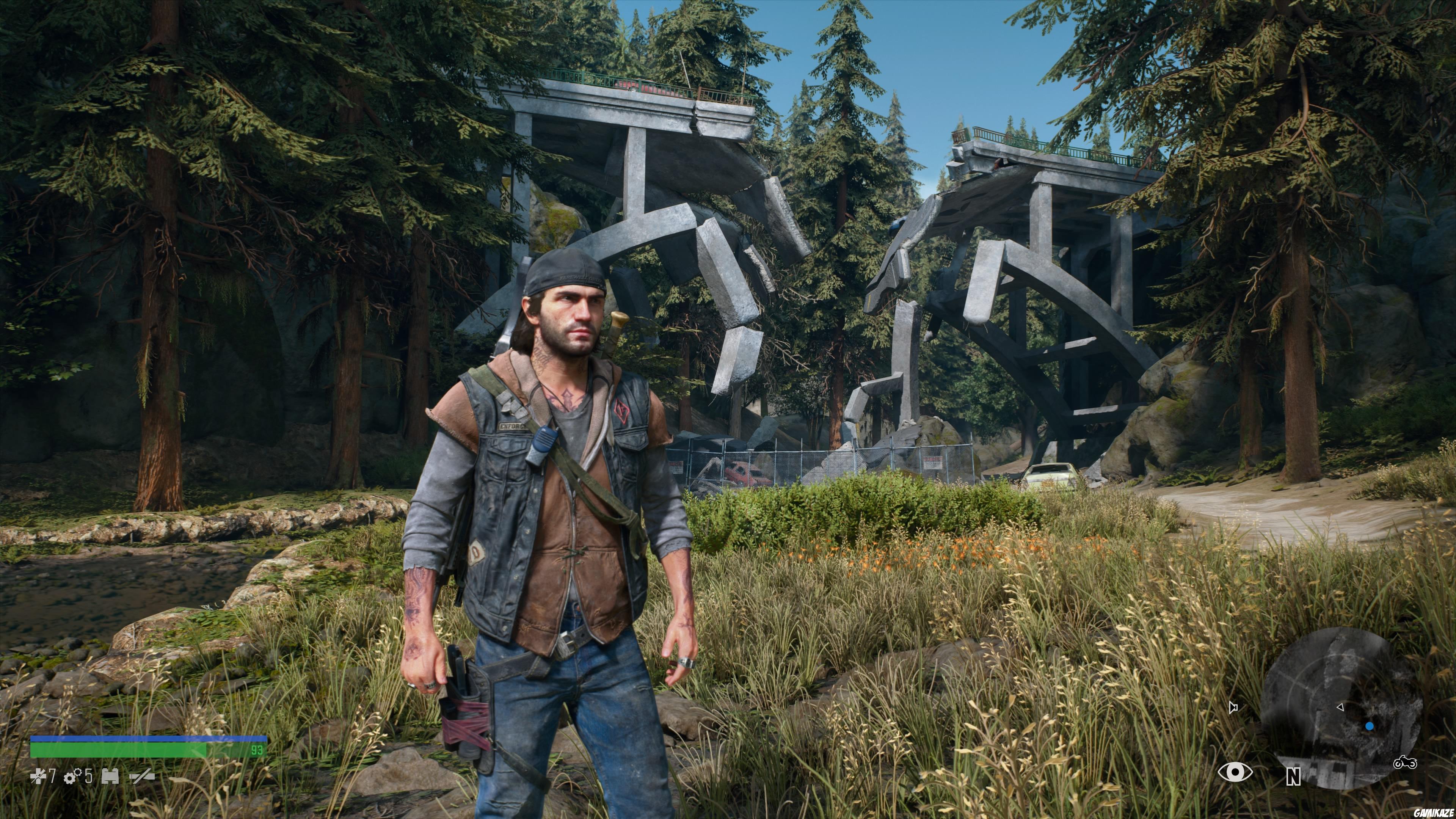Days Gone