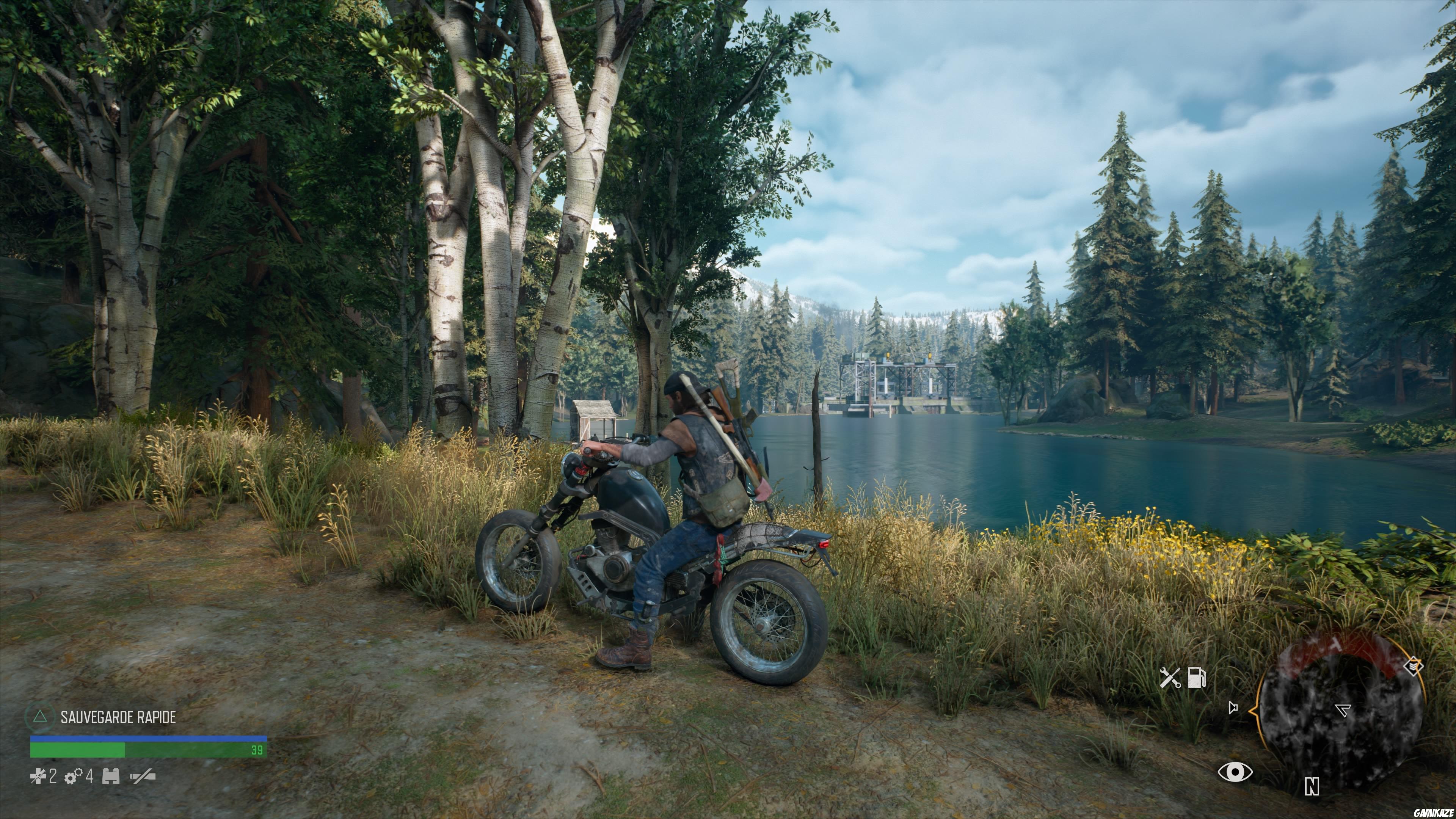 Days Gone
