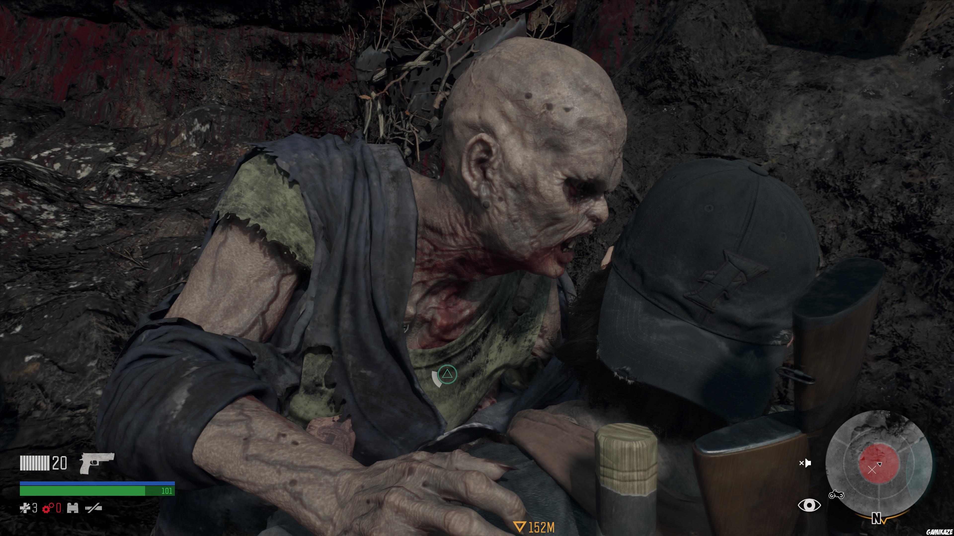 Days Gone