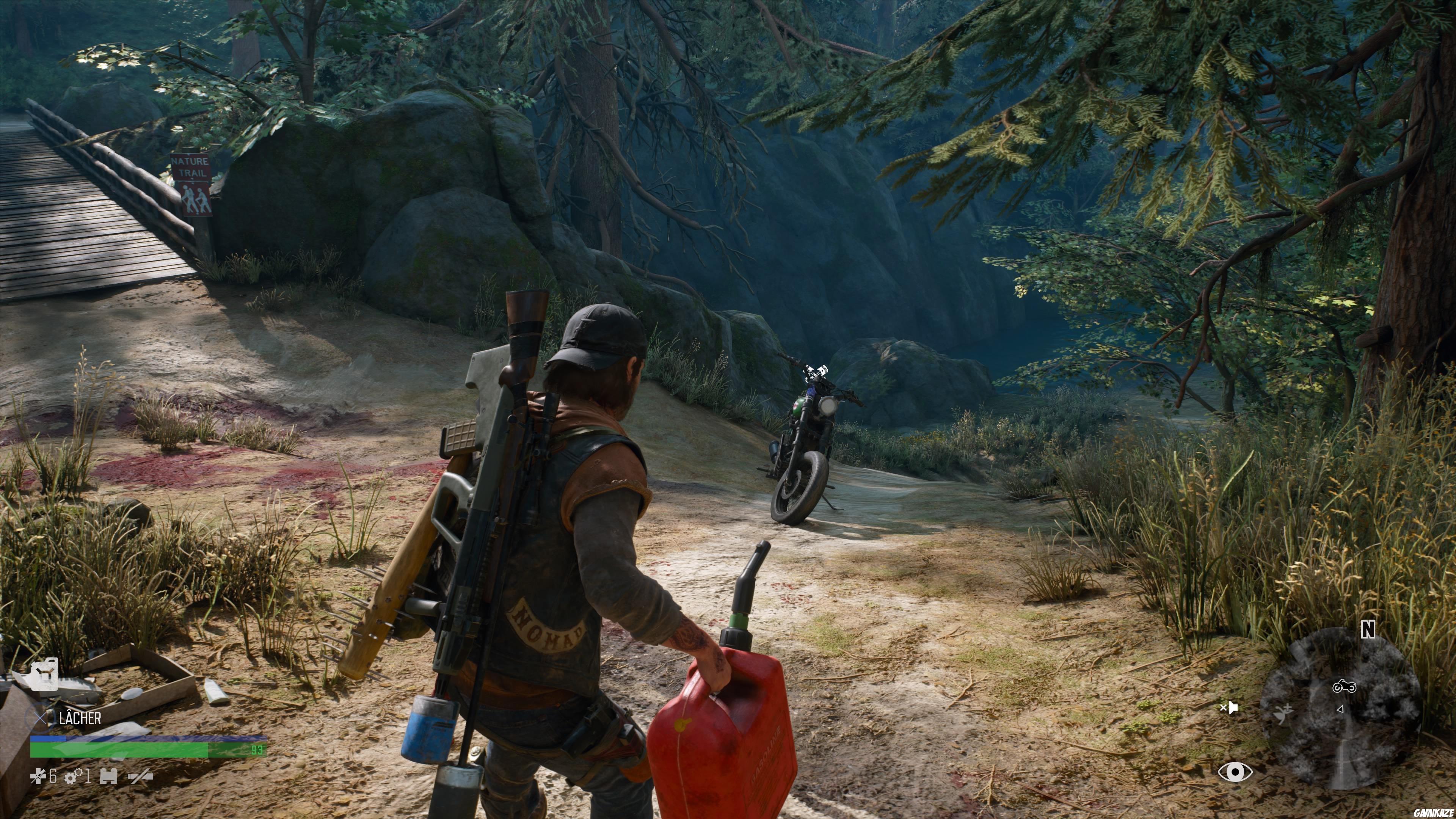 Days Gone