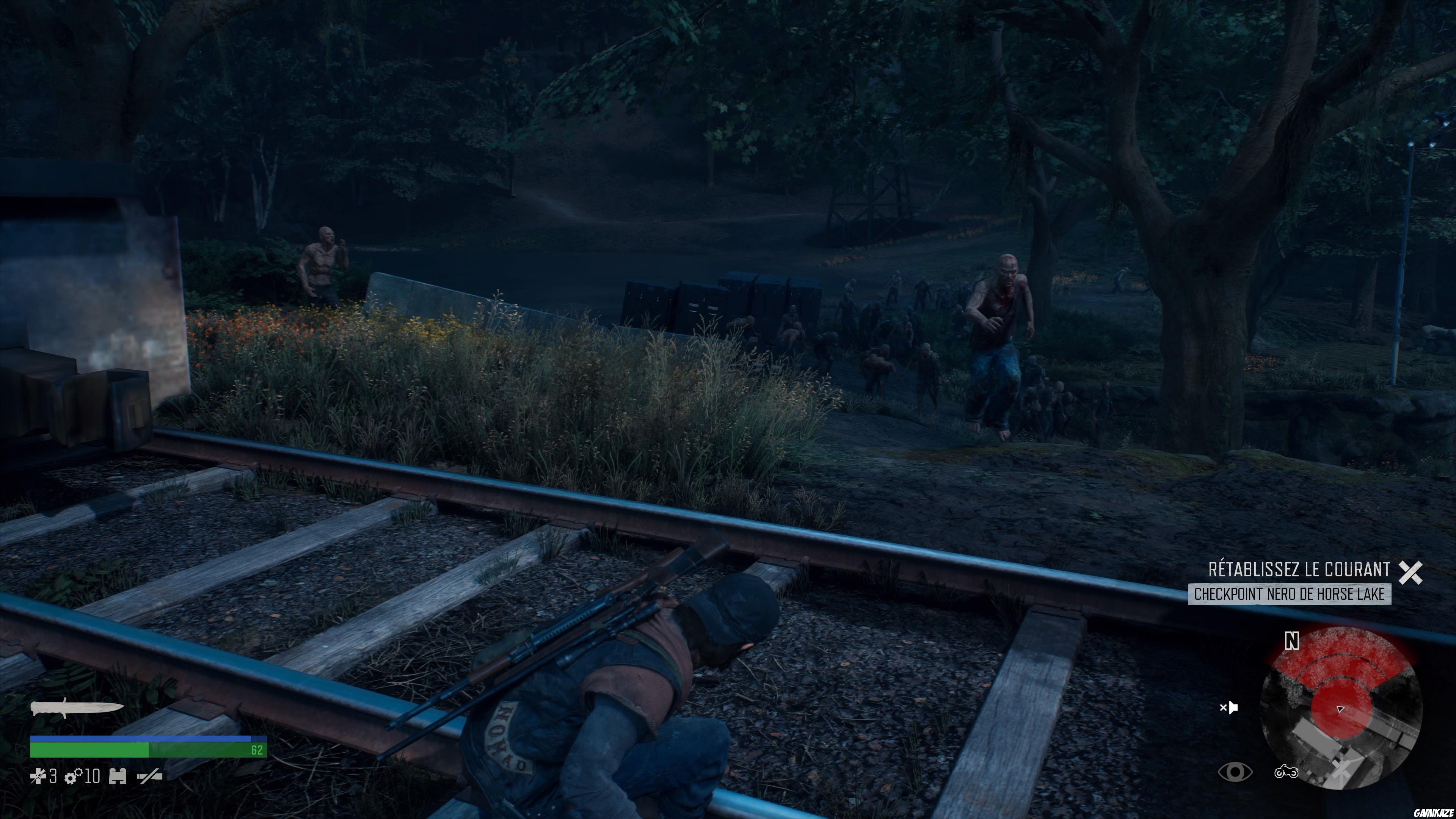 Days Gone