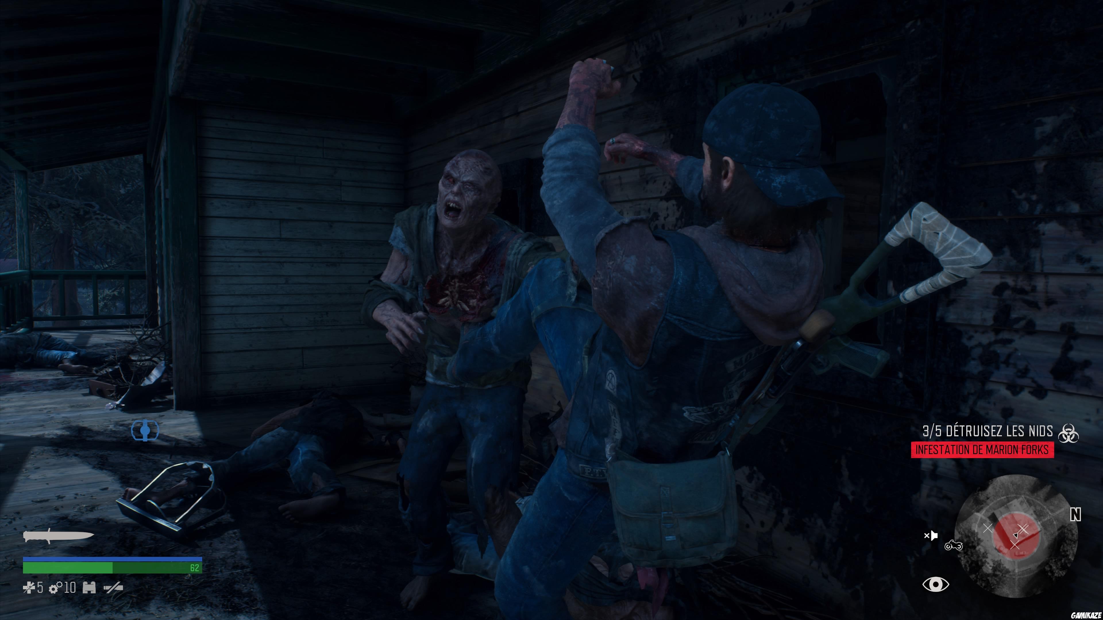 Days Gone