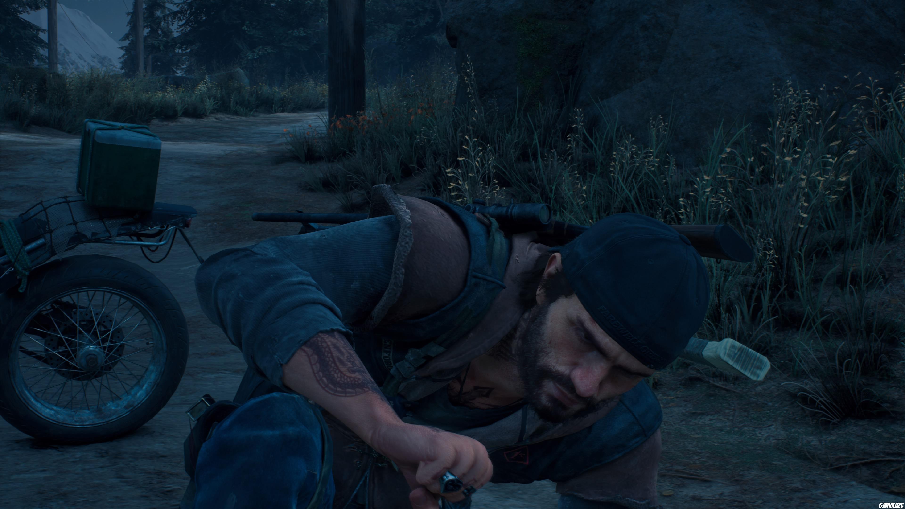 Days Gone