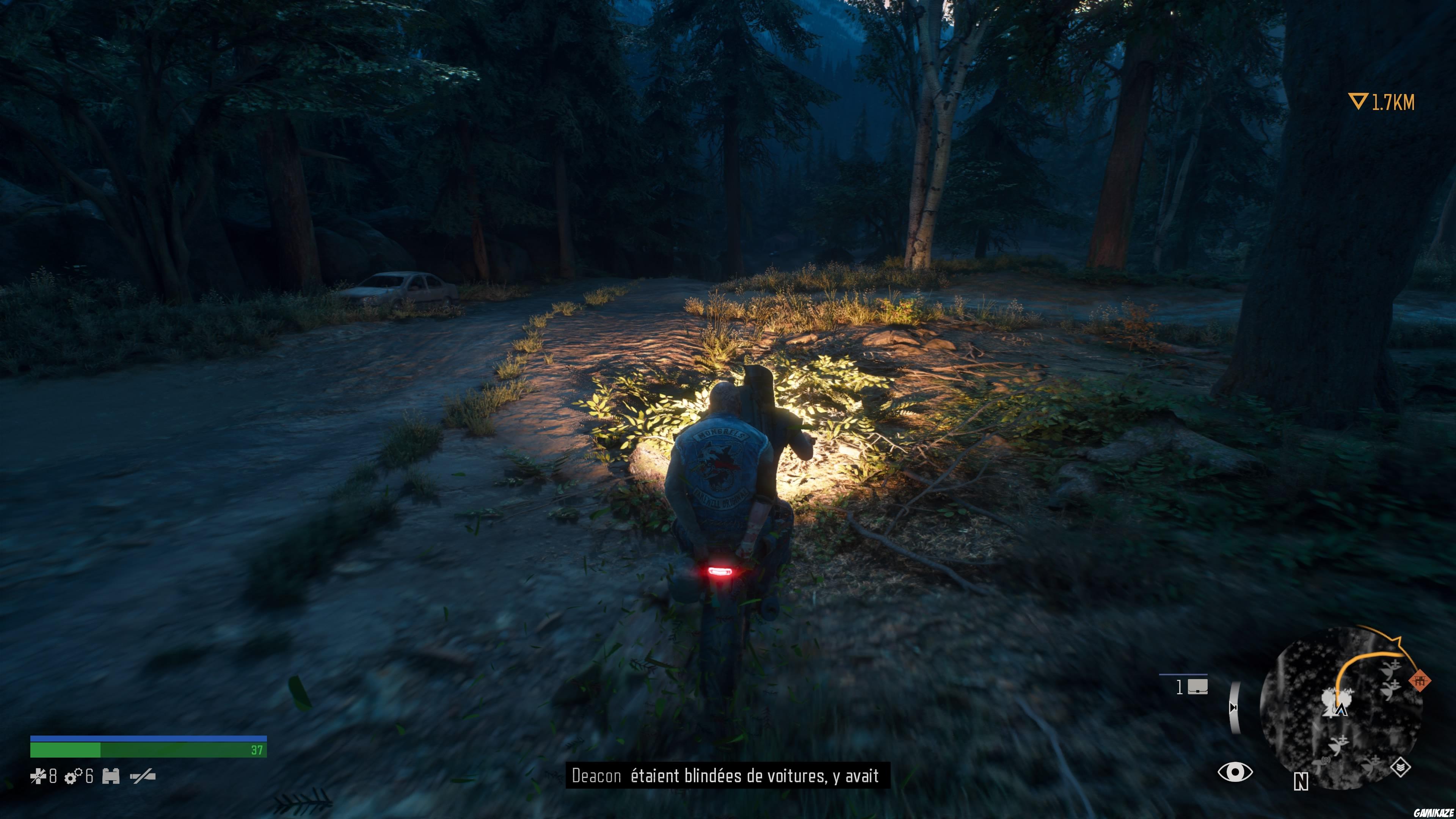 Days Gone