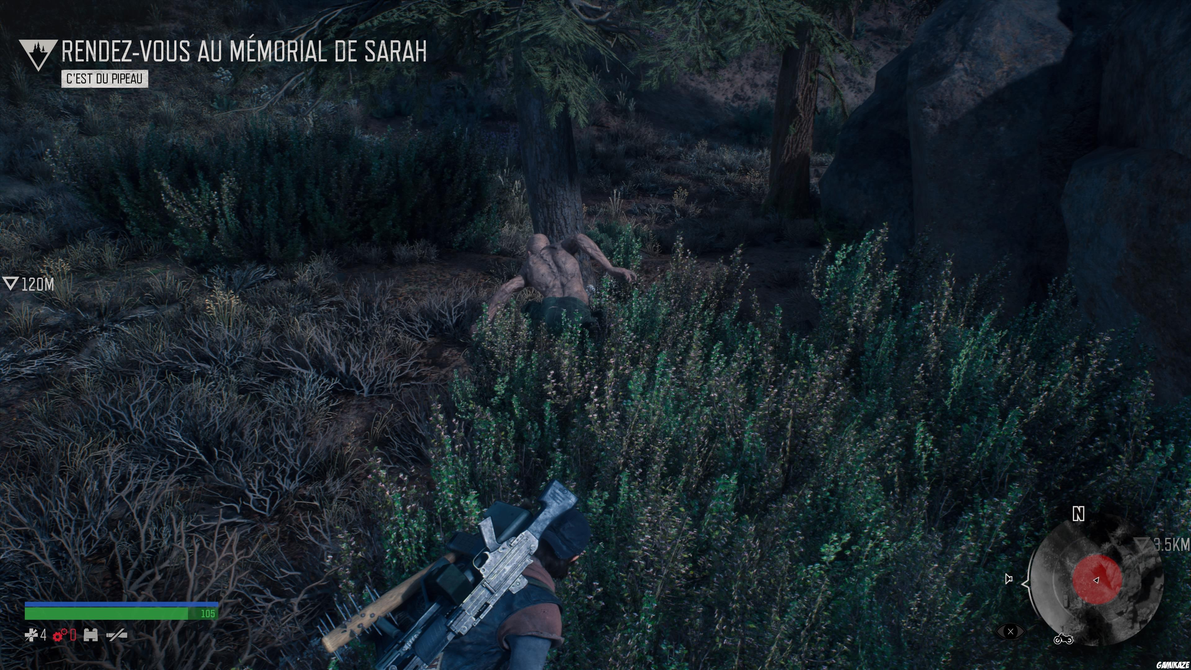 Days Gone
