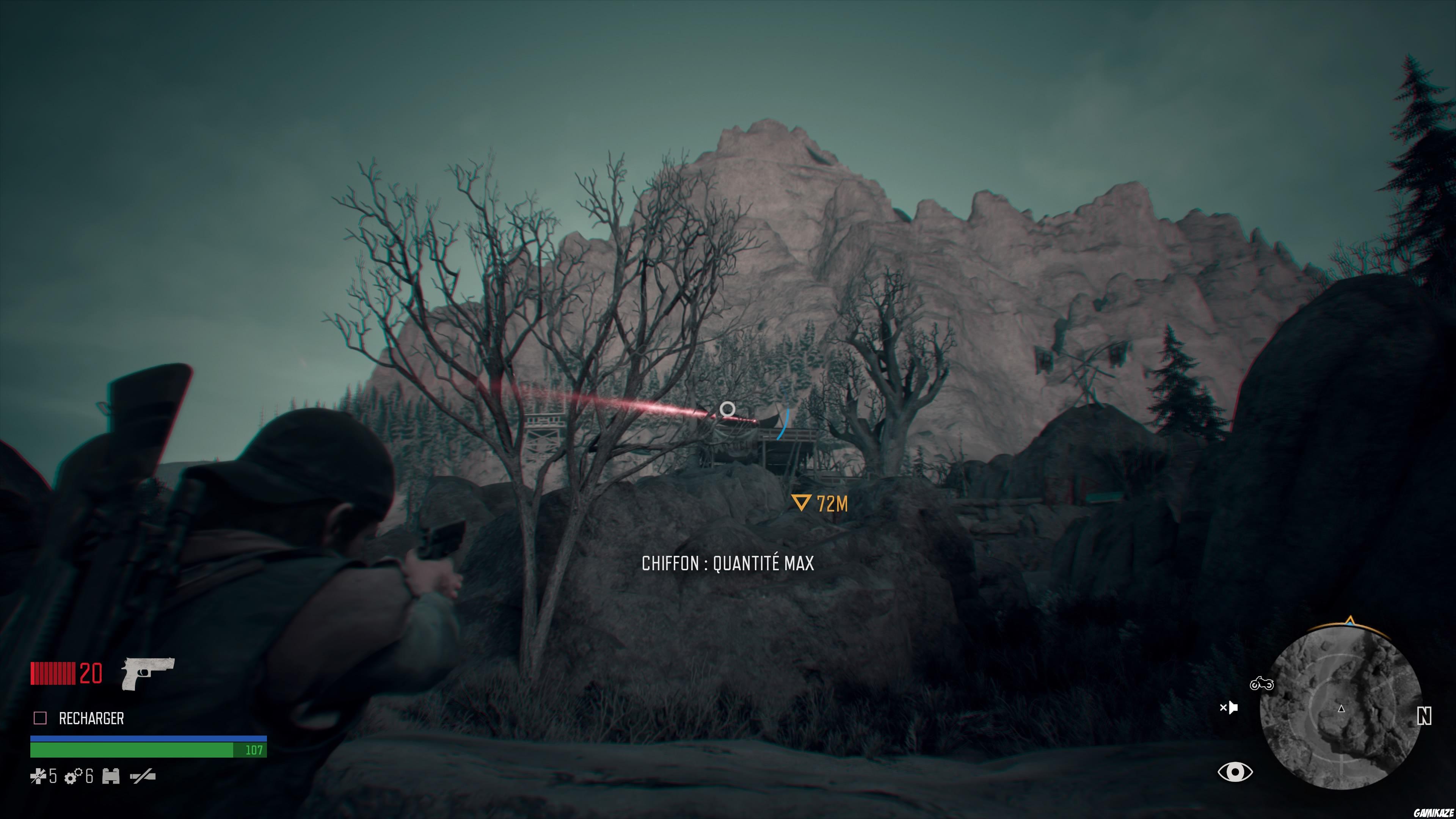 Days Gone