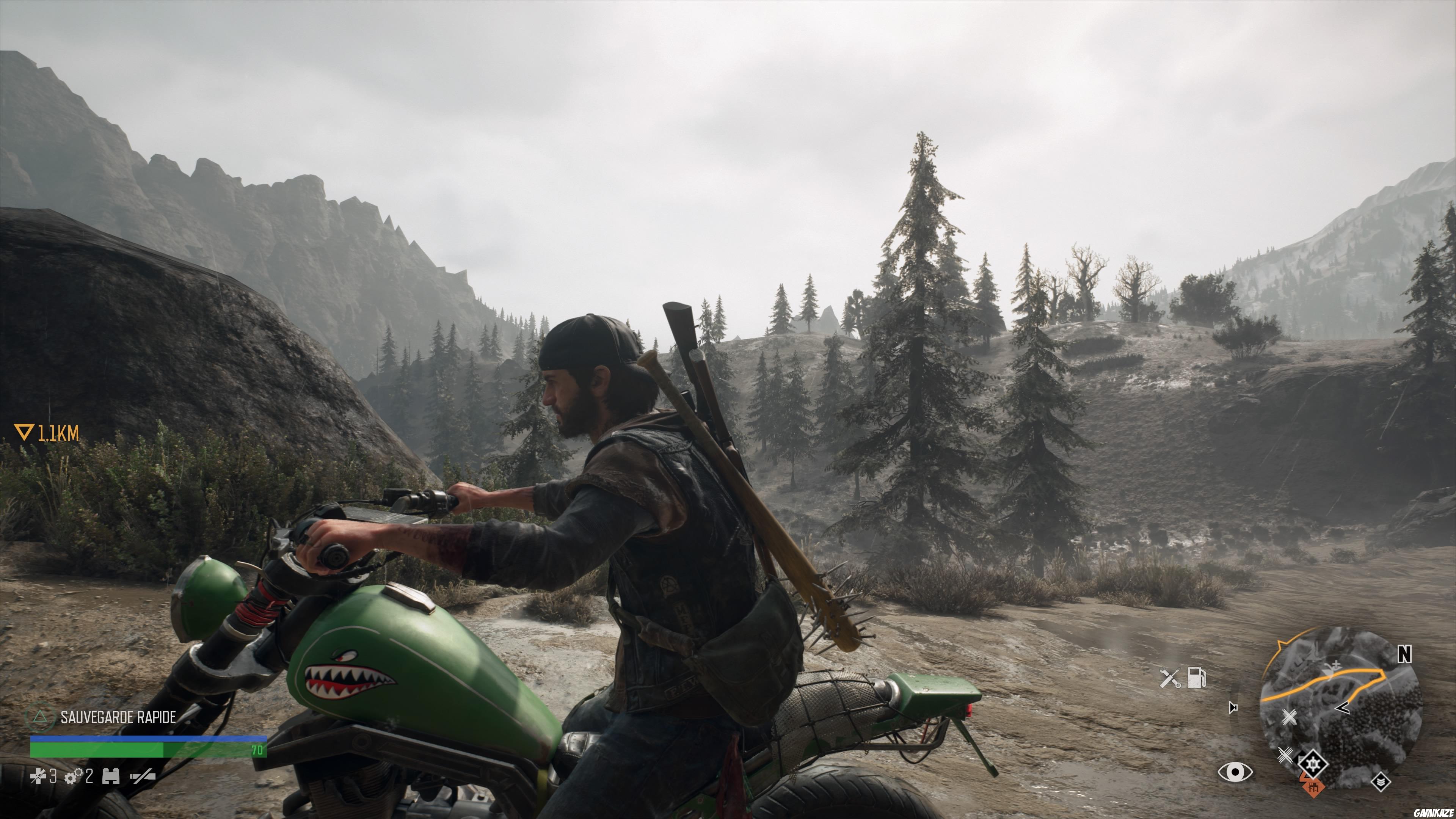 Days Gone