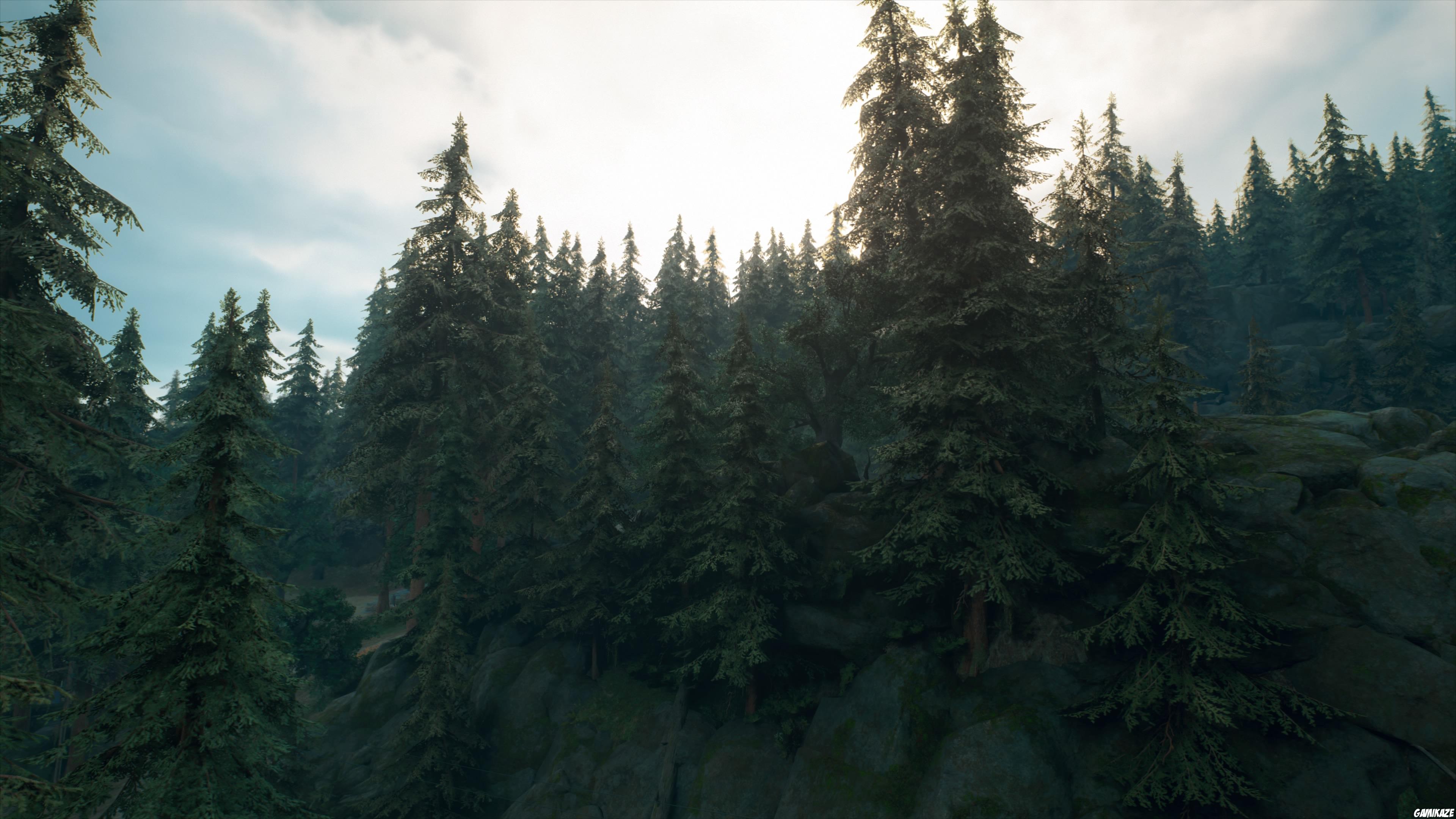 Days Gone