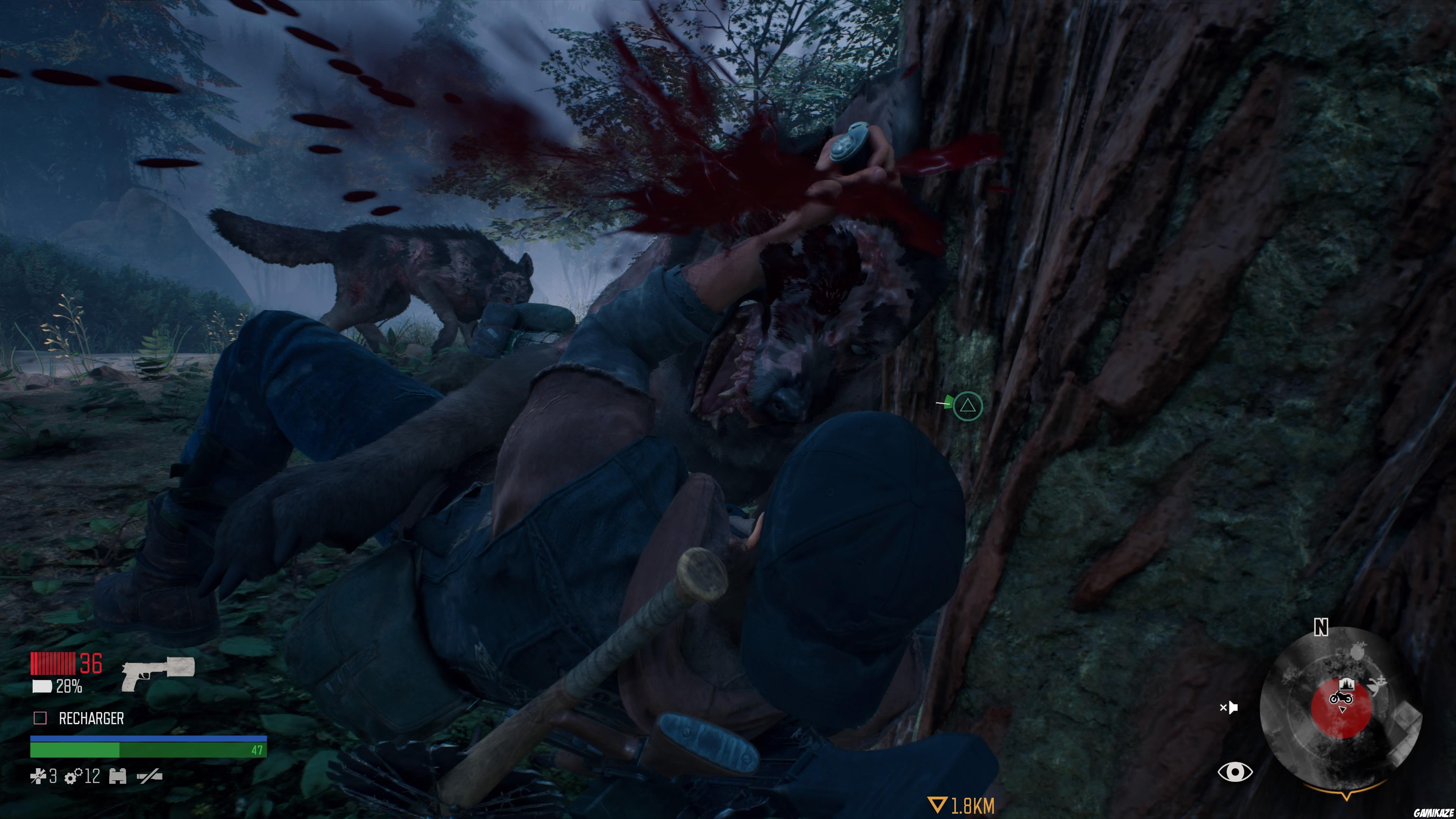 Days Gone