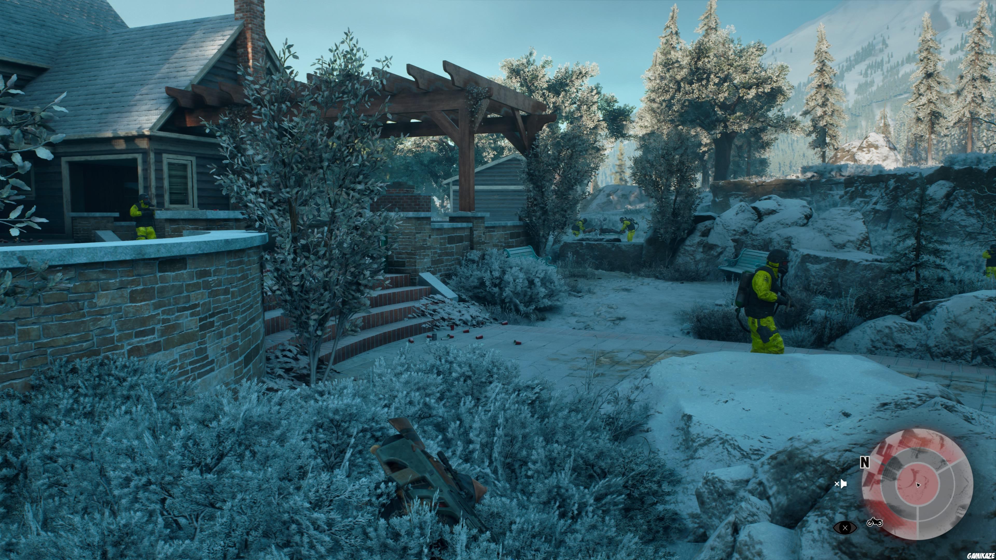 Days Gone