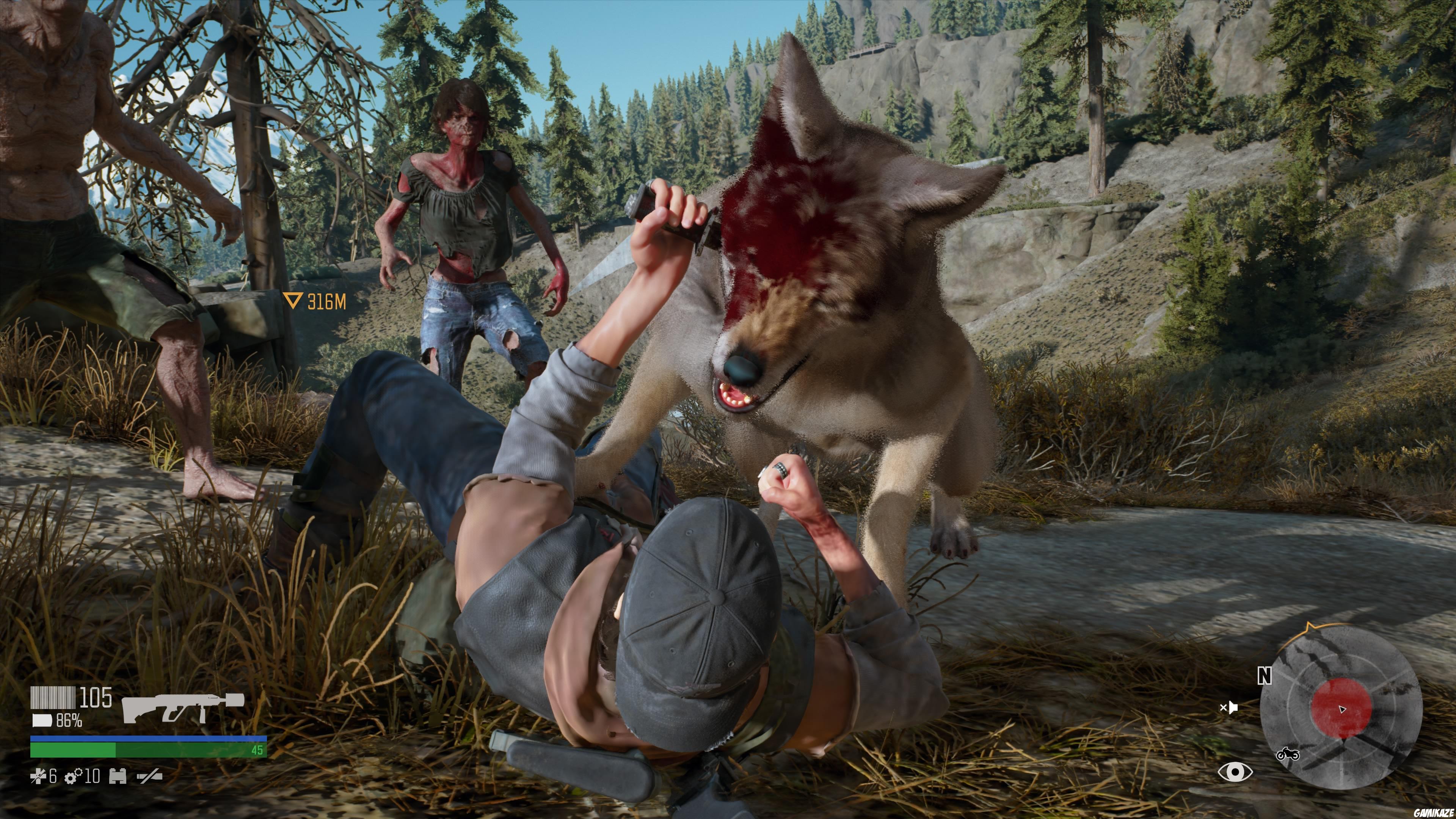 Days Gone